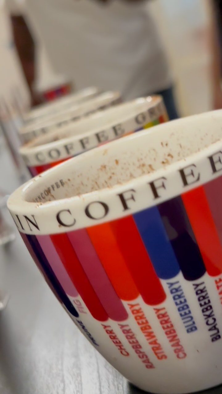 We’re in the 🇦🇪UAE…
🥄🥄 If you missed the cuppings w Earth Roastery or at @worldofcoffeedubai , don’t fret… you can still cup w us and 2025 UAE roasting champion @rahashahsavar at her roastery— @crackroastery.ae on Sunday, Feb 16th at 5 pm (26th St - Al Quoz - Al Quoz Industrial Area 4 - Dubai, UAE).
🌍 Are you somewhere else in the world and can’t make it? Write us at the contact link in our profile. 🔗
#greencoffee #specialtycoffee #nicaragua #naturalprocess #swisswater #thirdwavecoffee #anaerobiccoffee #pacamara #worldofcoffee #directtrade #directtradecoffee #wocdubai #coffeeprocessing #sustainablecoffee #dubaicoffee #coffeeroaster #coffeesorting #coffeeroasting #coffeefarm #dubairoaster #goldmtncoffee #coffeefarmers #coffeefermentation #carbonicmacerationcoffee #nicaraguancoffee #wocdubai2025 #dubaispecialtycoffee #microlotcoffee #kuwaitspecialtycoffee #dubaicoffeeroasters