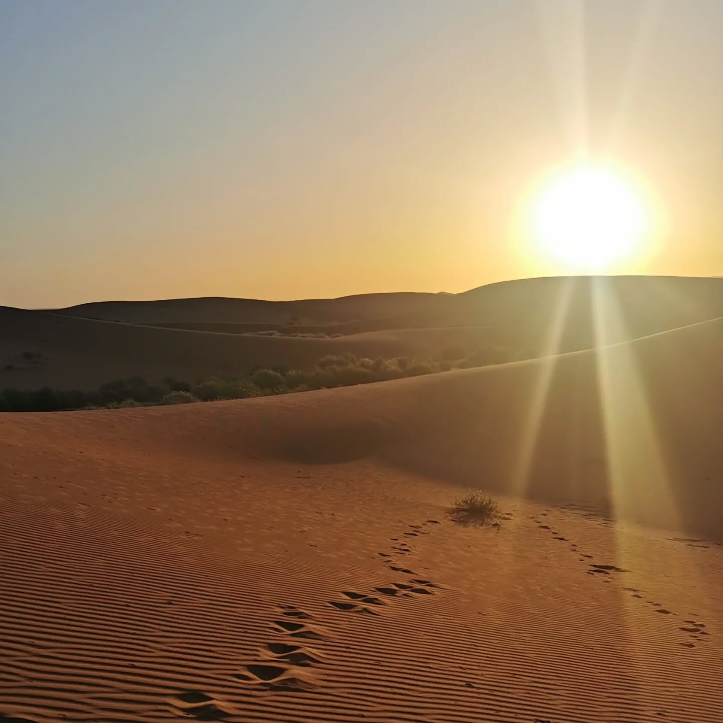 Wie in 1001 Nacht durfte ich die Magie der Wüste erleben.✨
Ich spürte die unendliche Weite, die Kraft der Stille, die sich in meinem Inneren ausbreitete.
Unbeschreiblich, wenn der Geist endlich zur Ruhe kommt, wenn die Gedanken leiser und leiser werden, und du schließlich voll und ganz im Hier und Jetzt ankommst.
Jeder Atemzug, jeder Augenblick wird zum wertvollsten Geschenk, und du wünschst dir, für immer hier zu bleiben.
In der Einfachheit des Lebens, im Frieden der Stille, habe ich die wahre Freiheit gefunden.
Die Zufriedenheit eines Nomaden, der im Einklang mit der Natur Seite an Seite mit seinen Tieren lebt, erfüllt zutiefst mein Herz.
Mit Tränen in den Augen habe ich die Wüste wieder verlassen, aber - Inshallah – wenn Gott will – werde ich wieder kommen. 🙏
#reliefandflow #relief #flow #yoga #yogareise #wüstenretreat #wüstenwanderung #yogainderwüste #sahara #marokko