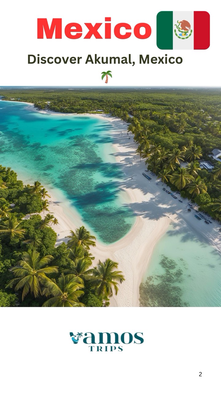 ๐โจ Discover Akumal, Mexico ๐ด
Nestled along the stunning Riviera Maya, Akumal is a hidden gem on the Yucatรกn Peninsula. ๐ข With its pristine white sands and crystal-clear waters, Akumal Beach is the perfect escape for beach lovers and nature enthusiasts. ๐๐
Dive into vibrant coral reefs teeming with marine life ๐ ๐ก, and get up close with sea turtles ๐ข. Explore the serene Half Moon Bay ๐๏ธ and snorkel in the colorful Yal-ku Lagoon, home to tropical fish, stingrays, and barracudas. ๐๐
Ready for the adventure of a lifetime? Book your next getaway with Vamos Trips and let us help you create unforgettable memories! โ๏ธ
๐ Reach us at Vamos Trips to plan your dream vacation!
#VamosTrips #AkumalMexico #RivieraMaya #BeachVibes #TurtleWatching #SnorkelAdventure #TravelGoals #ExploreMexico #NatureLovers #TravelWithVamosTrips #TropicalEscape #CoralReefs #vacationtime