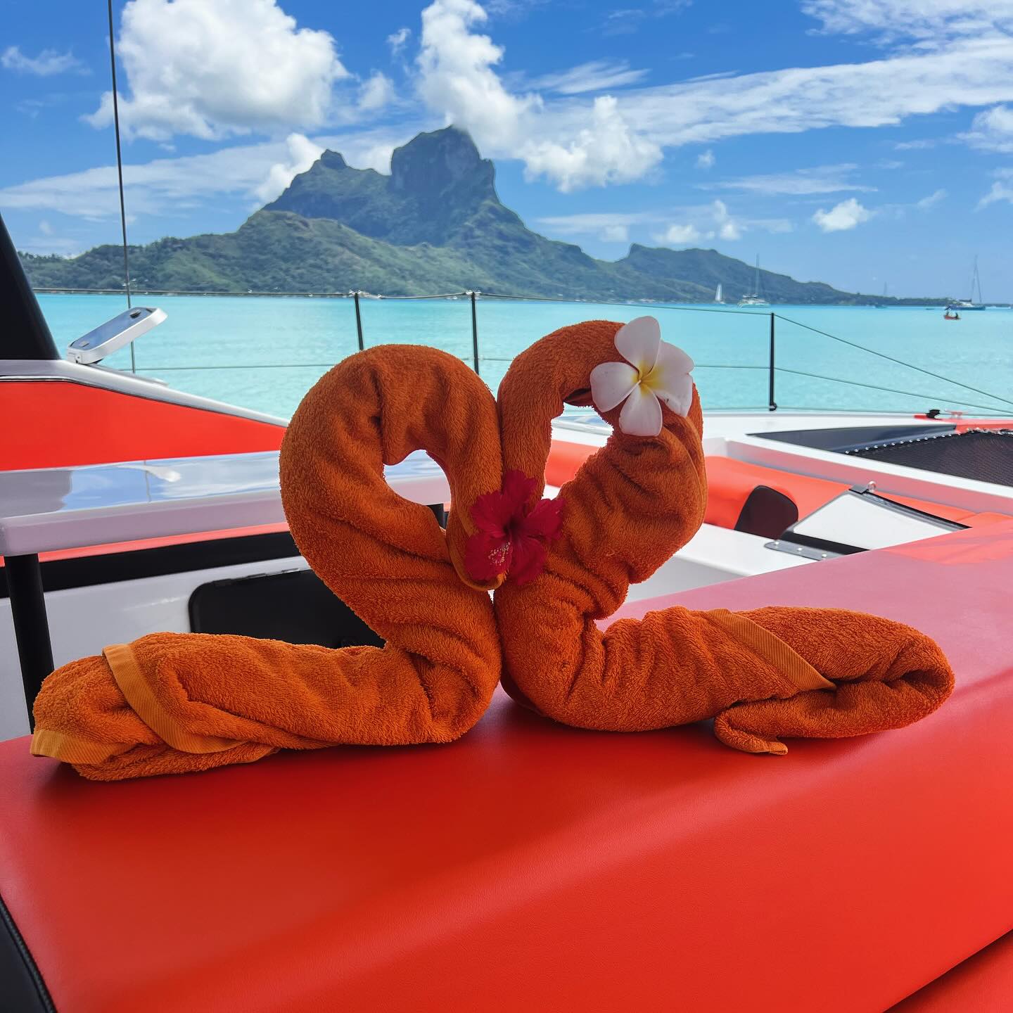 🌺Happy Valentine’s day ❤️
In a loving relationship with your partner, a friendship one and a self-loving one, VitaminSea’s team wishes you to live it fully. Today and everyday is about love. Spread it 🌞
#love
#experience
#enjoylife