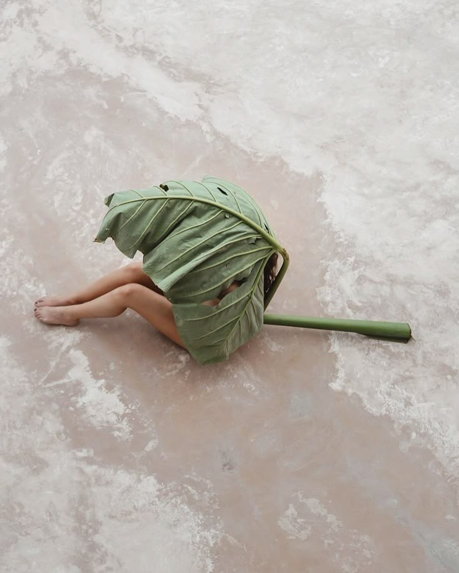 💫A new portal is opening and I’m inviting you in…💫
✨Introducing my monthly residency at @cocoonbondi ✨
On the first Saturday of each month, I’ll be offering in person #holisticpelviccare™️ and #Fembodiment™️ sessions in a space designed for deep healing, feminine reclamation, and embodied awakening.
This is your invitation to step into a sanctuary where you are honoured, and met exactly as you are.
If you’ve been feeling the pull to return home to your body, to reclaim the pleasure and inner power that is already yours, welcome in.
Spaces are limited! March bookings are now open.
DM me or visit www.wethefemme.com.au/booknow
I can’t wait!!! 💛
#embodiment #yourvulvaera #bondicocoon
#wethefemme #pleasureactivism #holisticsexuality