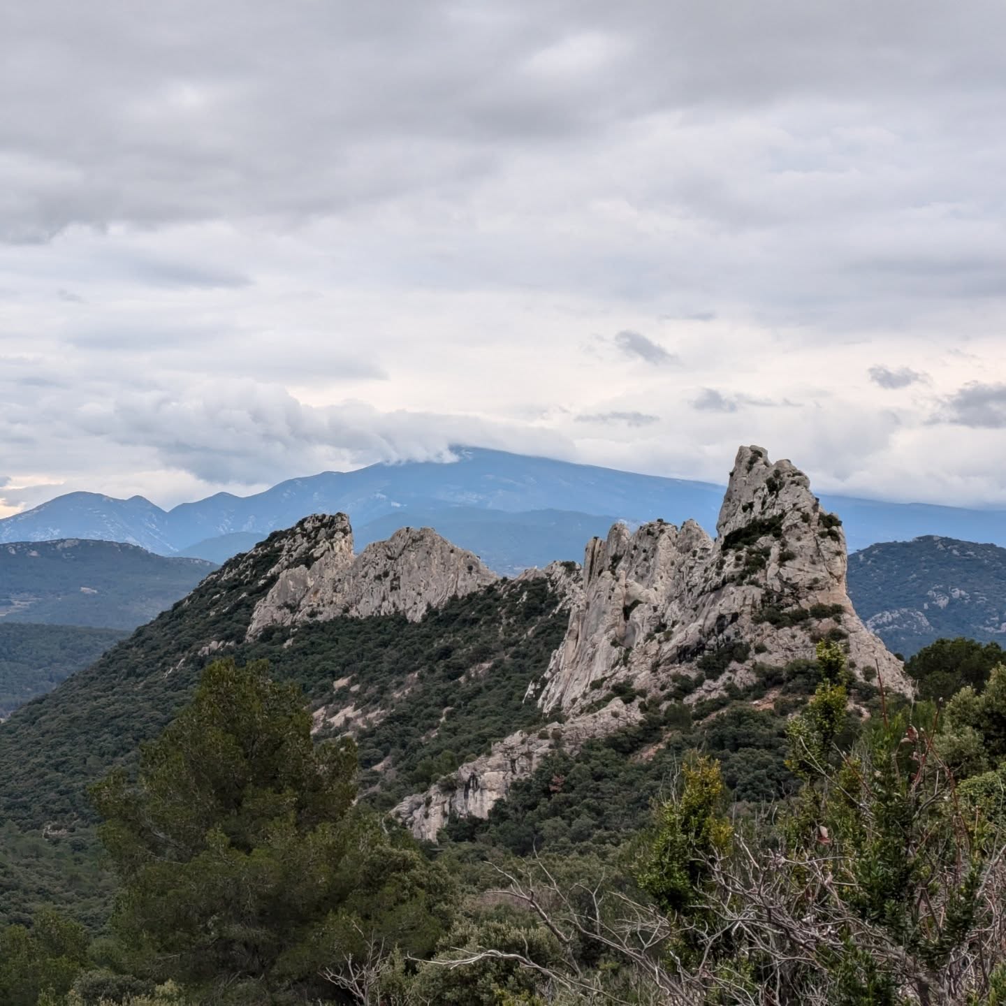 Pratique de la posture de l'arbre
Se connecter aux manifestations de notre univers entre terre et ciel.
Les bras sont en connection avec le Tout, le Ciel, la Terre, le Tout.
Non agir, accueillir les résonances, se connecter avec les autres temps. C'est quand on l'expérimente que les choses se manifestent.
" Le grand mouvement ne vaut pas le petit mouvement. Le petit mouvement ne vaut pas le micro-mouvement, le micro-mouvement ne vaut pas le non mouvement. Au cœur du non mouvement, tous les mouvements apparaissent."