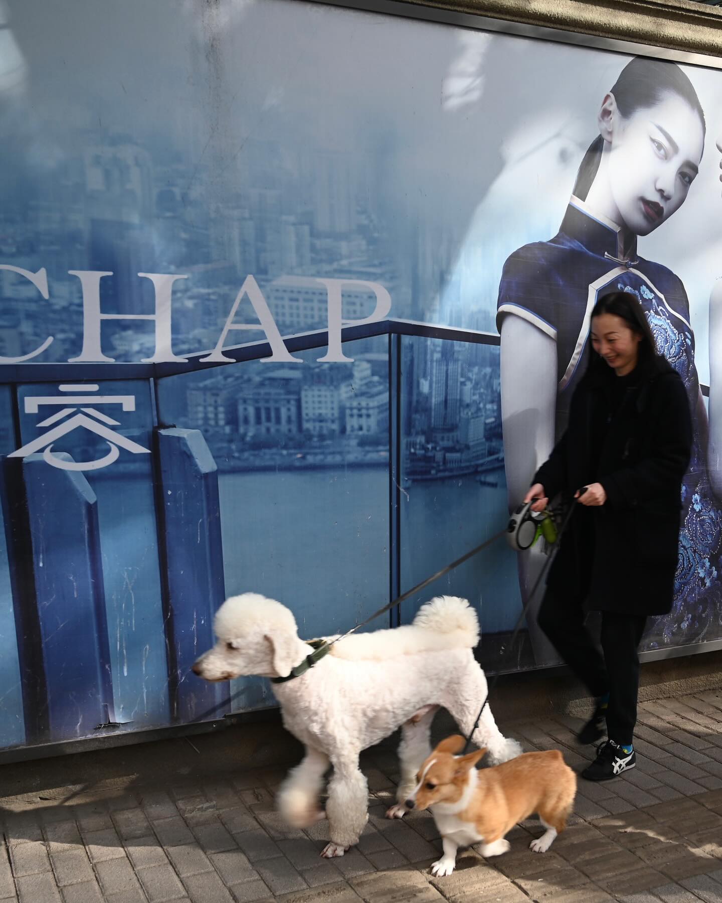Thinking of Shanghai, where I can be back for a short time in May. Looking forward to meet my lovely friends again.