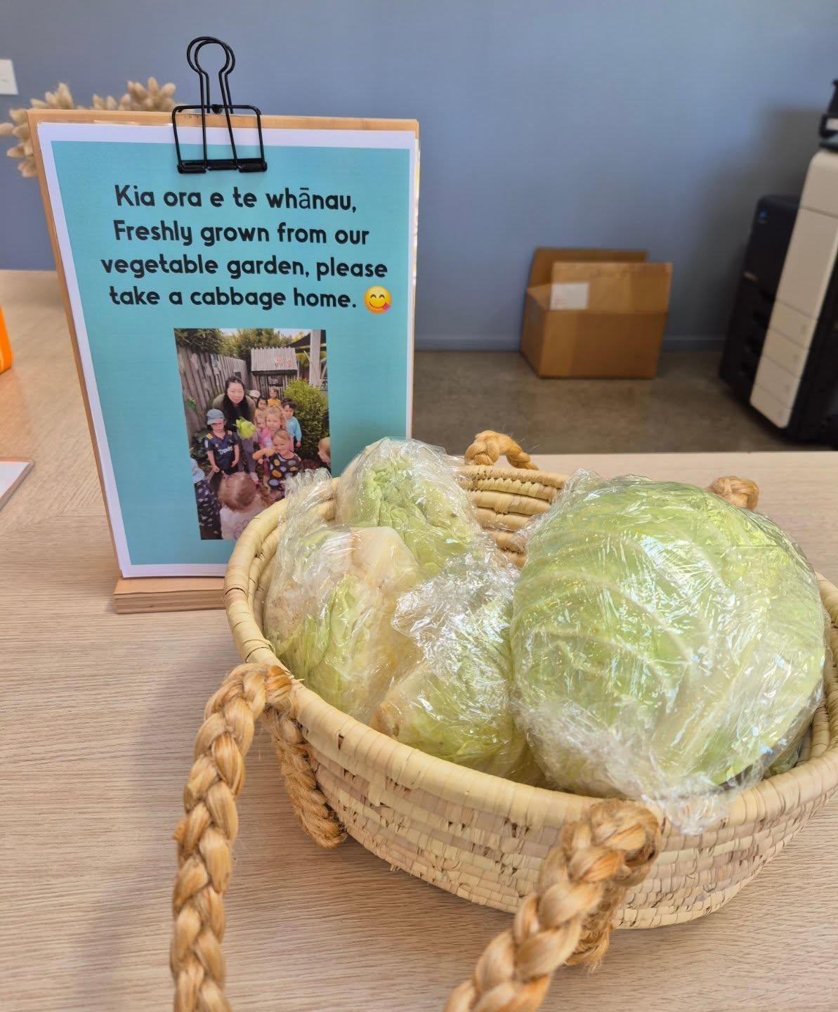 Our tamariki have been busy this morning harvesting our cabbage from our garden. They made some vegetable dumplings and have prepared some cabbage quarters for our whānau to take.
Please help yourselves 👏🏼👏🏼