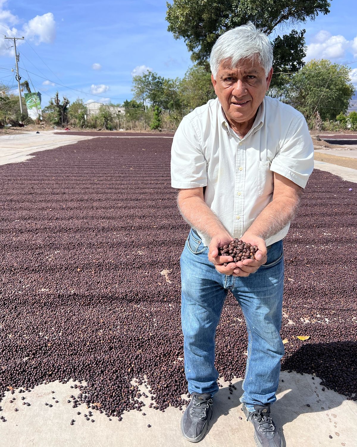 Today we celebrate the life of extraordinary man! Don Osvaldo has dedicated many years of his life creating El Gigante! Happy birthday Don Osvaldo! May God grants you many more years full health and amazing coffee! ☕️ 🎂🥳