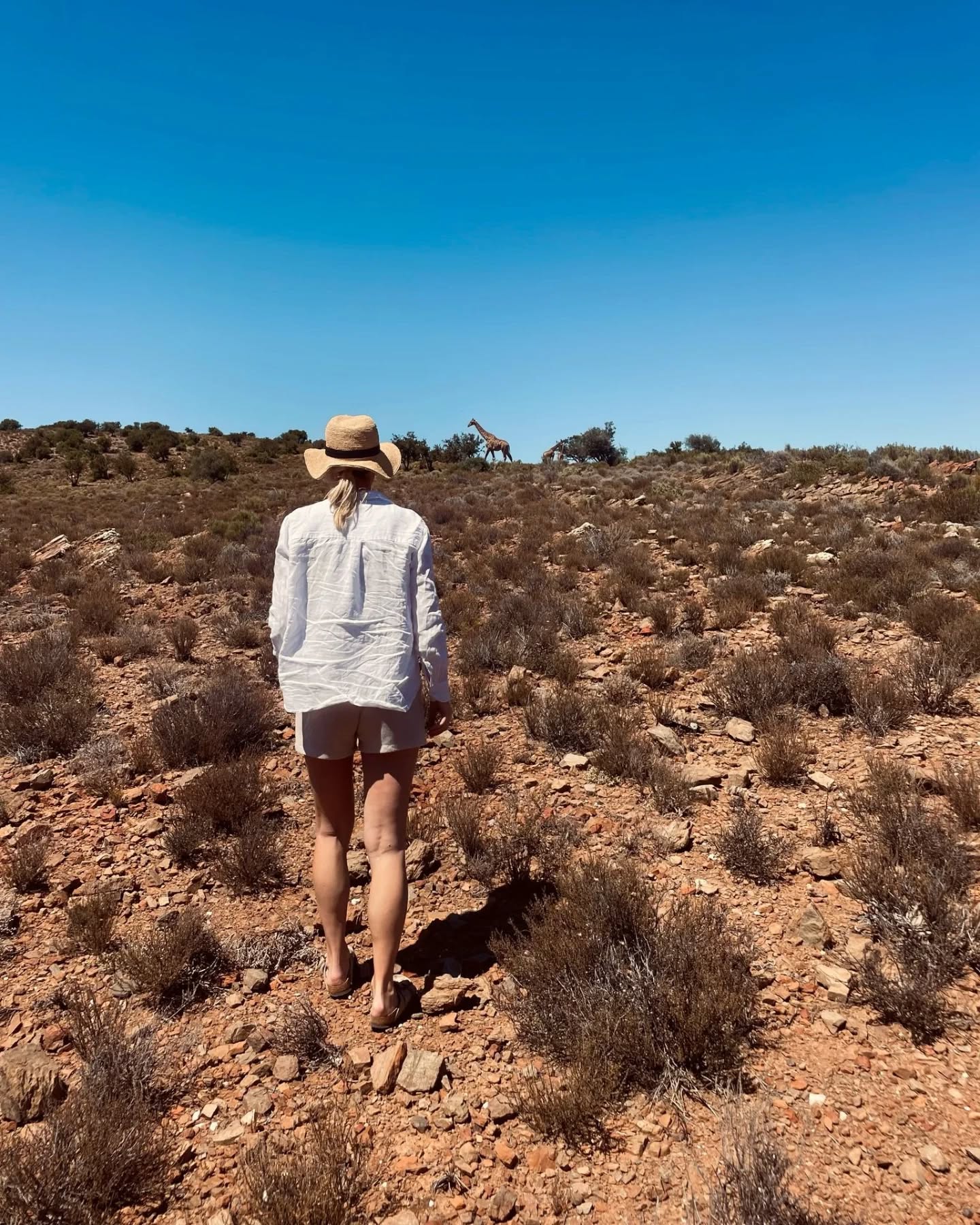 "Mont Eco was trouwens super leuk!! Echt precies wat we bedoelden. Was geen Kruger maar toch die safari experience!!"
@montecoprivategamereserve bij Montagu bleek een schot in de roos voor dit stel. Tijdens hun vorige reis hebben ze al veel safaris meegemaakt in onder andere het Krugerpark. Nu blijven ze in de West Kaap en ze wilden toch een safari beleven. Bij het exclusieve Mont Eco Private Game Reserve zijn safaris altijd in een klein gezelschap wat natuurlijk goed is voor de 'Out if Africa' ervaring. Je kunt hier verblijven inclusief maaltijden en safaris of een (halve) dagsafari boeken.