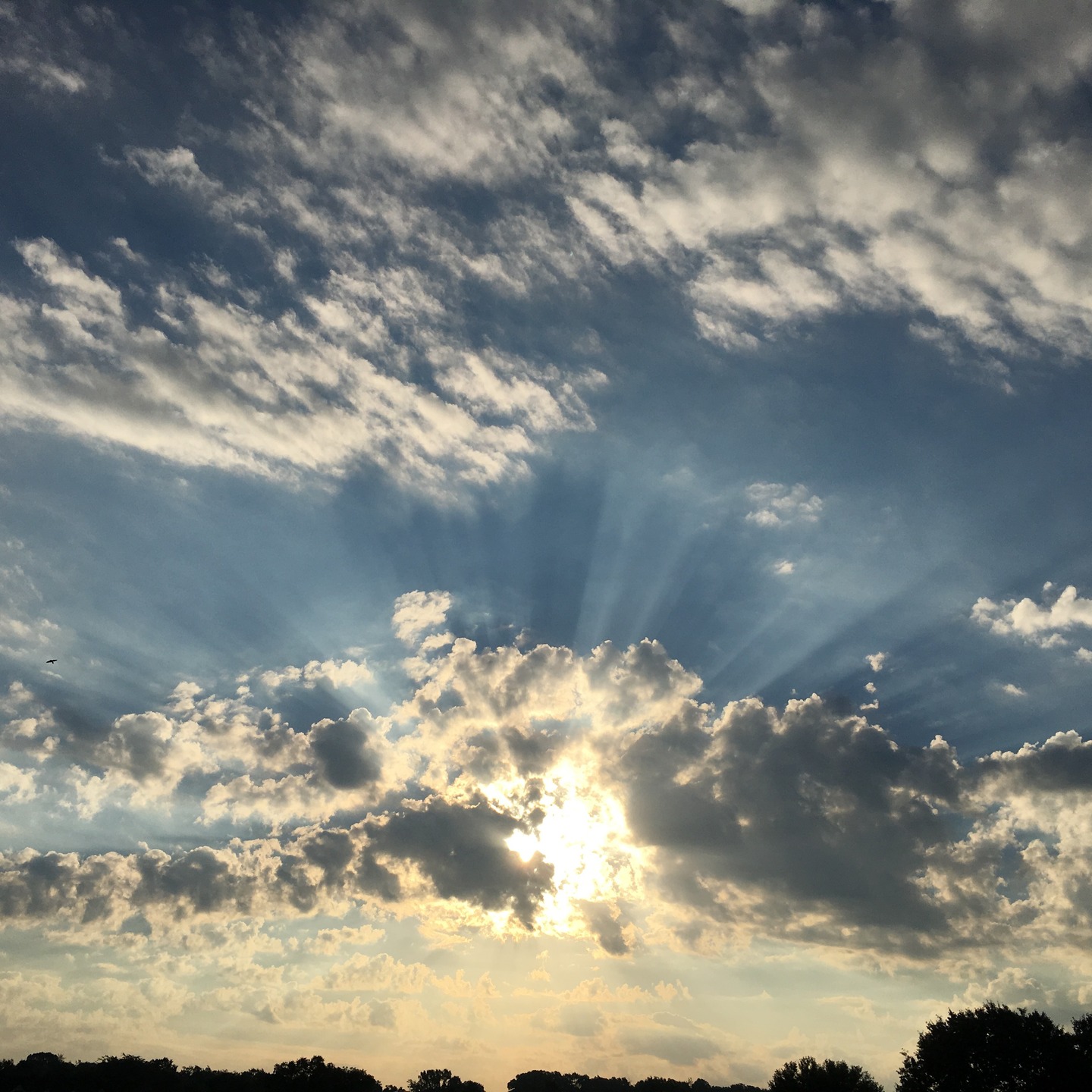 God’s love exceeds my imagination. New blog post up. Link in bio. Its been a while since I have posted. Seemed like a good day to share what He gave me this week in the wee hours. Love you friends! lindaleedodson.com. The Greatest Love