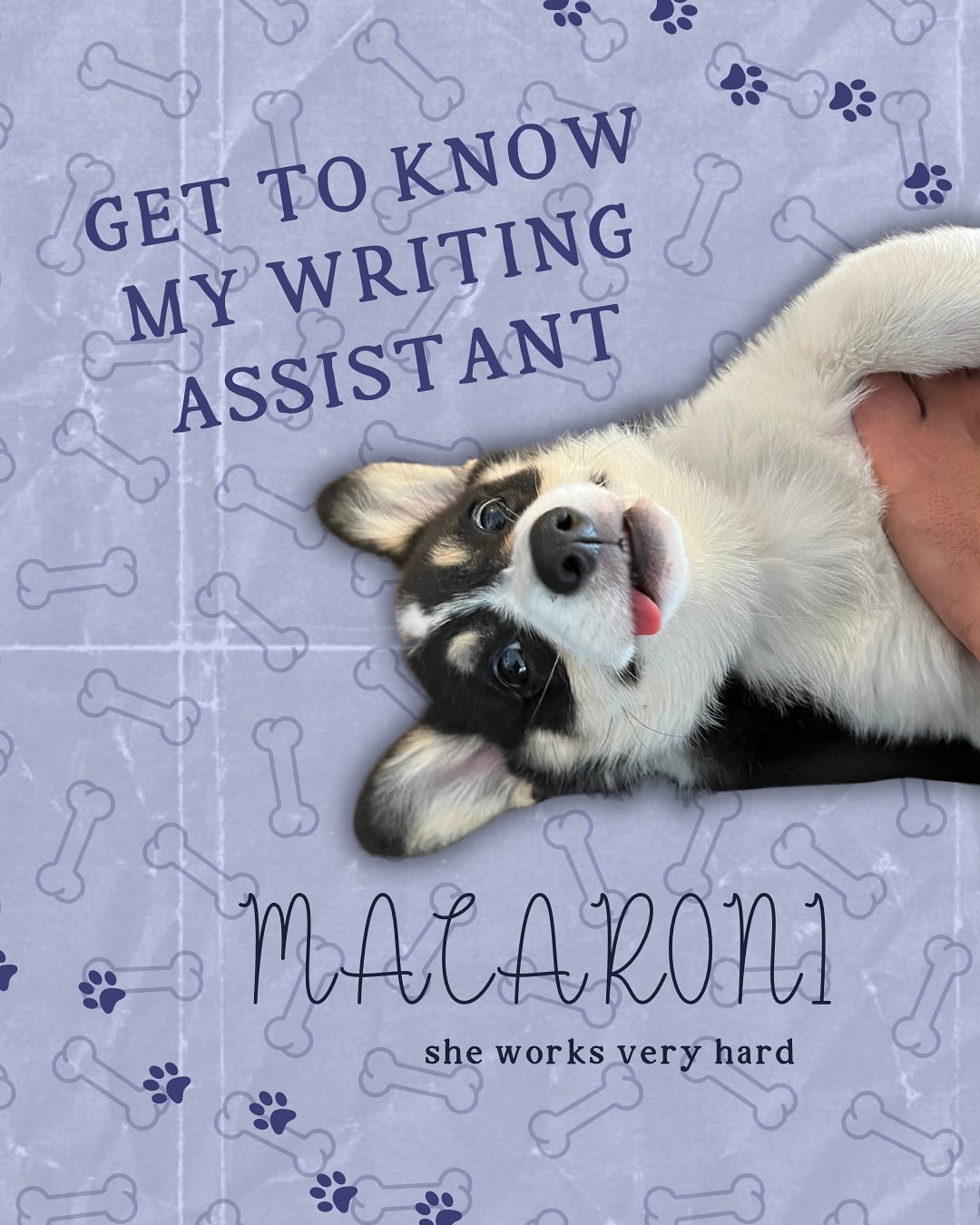 Macaroni is the best and worst writing assistant I could ask for. She keeps me company when I spend hours at my desk, and reminds me to get up and take breaks to stretch, and throw her ball.
#writewithme #books #bookish #writerlife #writersofig #writingcommunity #fantasybooks #booklovers #authorlife #authorsoftiktok #writingtips #bookstoread #bookstagram #bookishcommunity