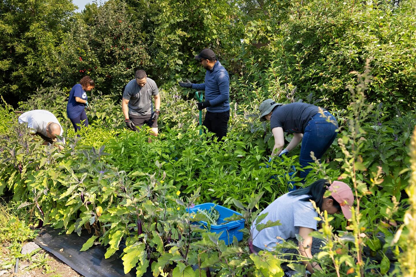 Join us in our vision of creating vibrant, thriving communities. 🏡 Every person deserves the opportunity to reach their full potential. Let’s make a difference together! #PACTUrbanPeaceProgram #CommunityWellness