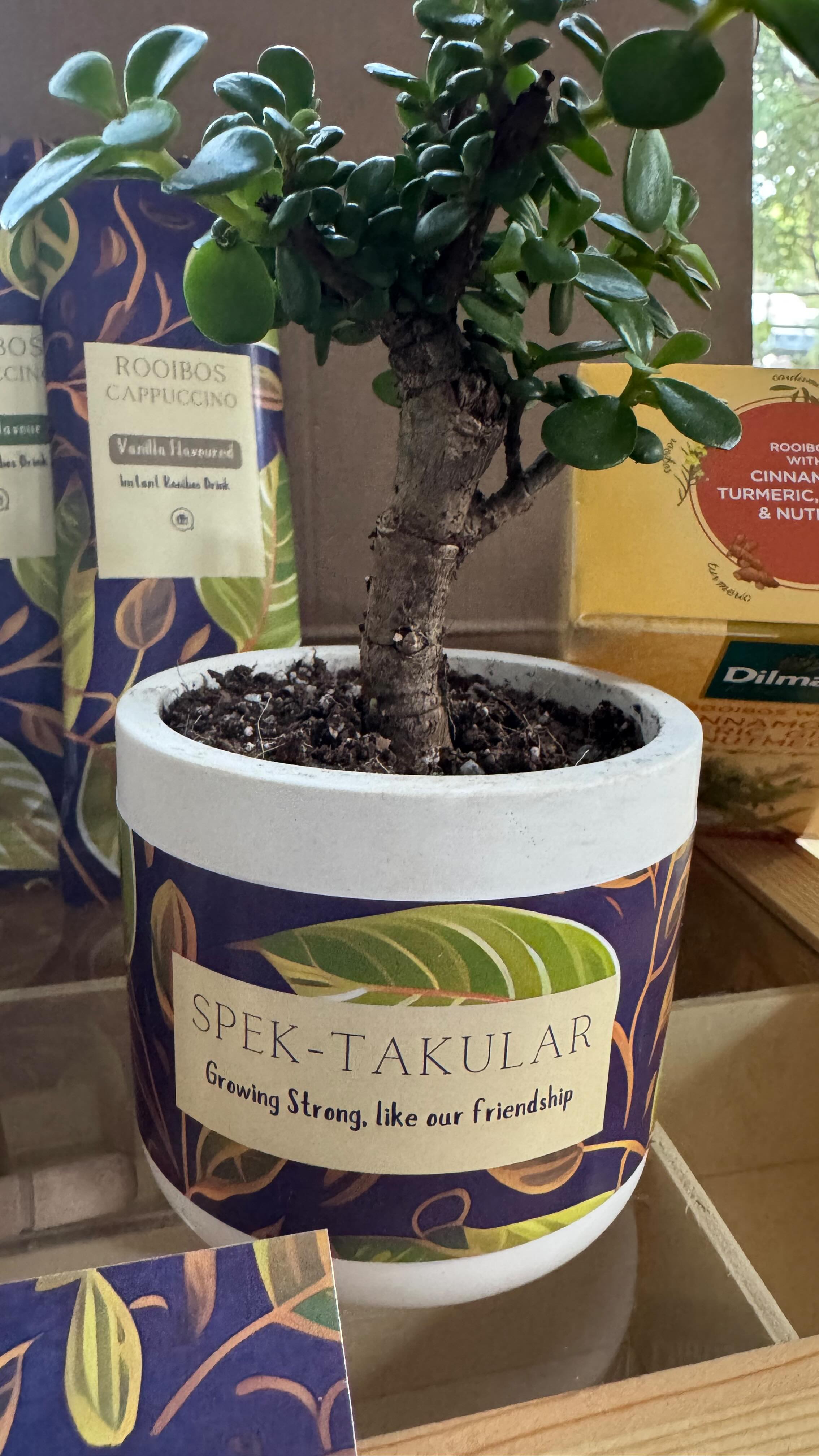 What a start to the year!
We’ve been to the moon and back already and that was just in Jan! We can’t imagine where the year will take us if this is how it’s started 🚀
#janrecap