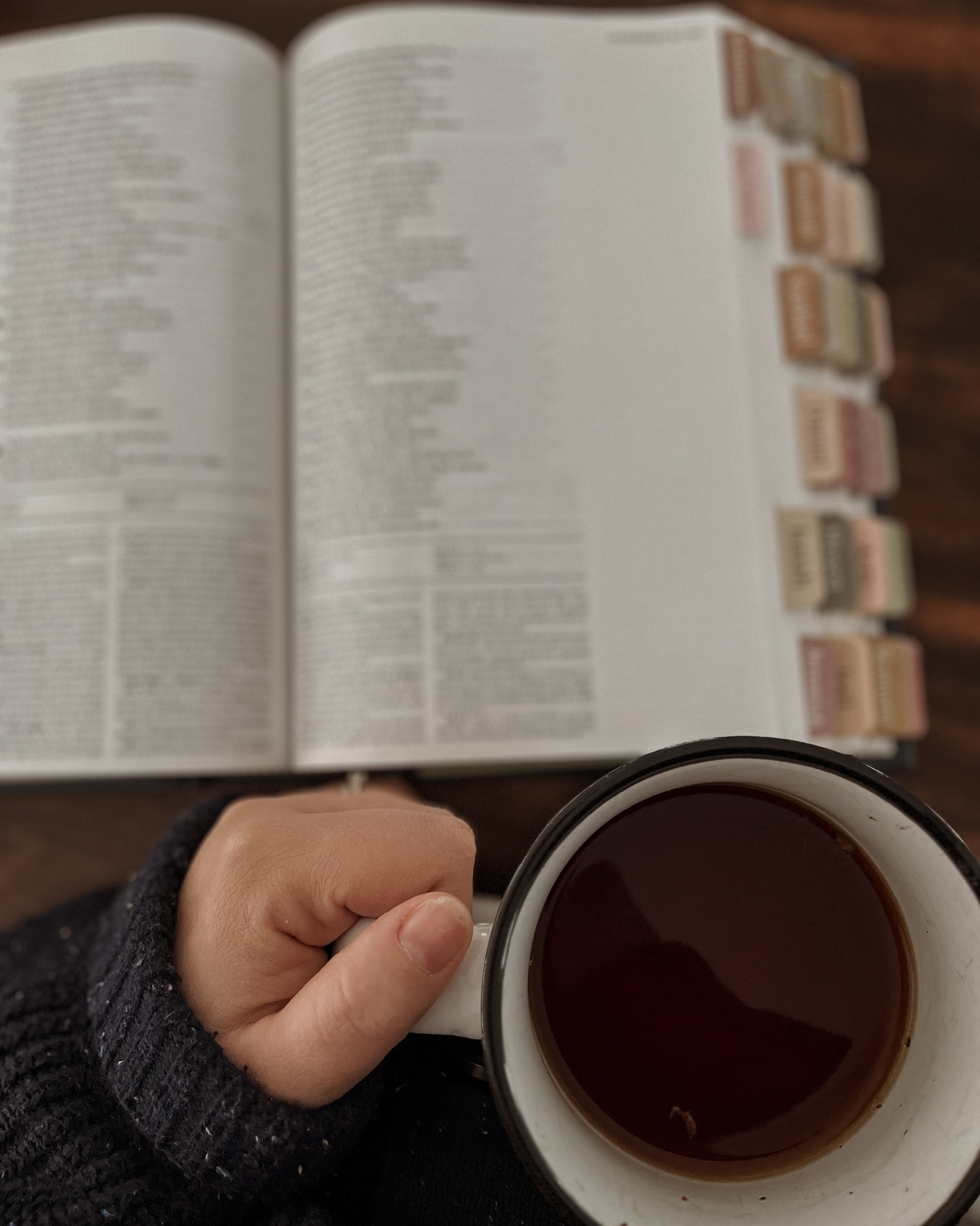 Dimanche de tempête!
C’est très cozy ici et vous? À quoi ressemble votre dimanche?
#blogchretien #snowstorm #sundayfeels