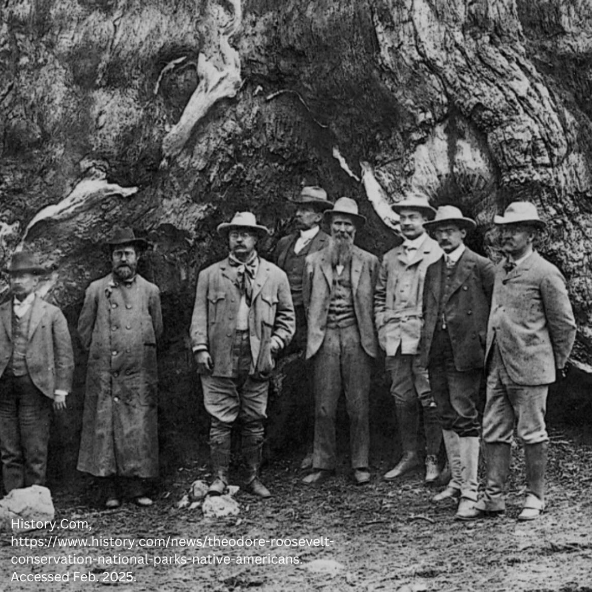 Celebrating Presidents’ Day by reflecting on the legacies of Theodore Roosevelt, the visionary behind the National Parks Services, and FDR, who sparked a green revolution with his New Deal tree planting initiative. They’ve contributed so much to conservation! 🌳🇺🇸 #happypresidentsday