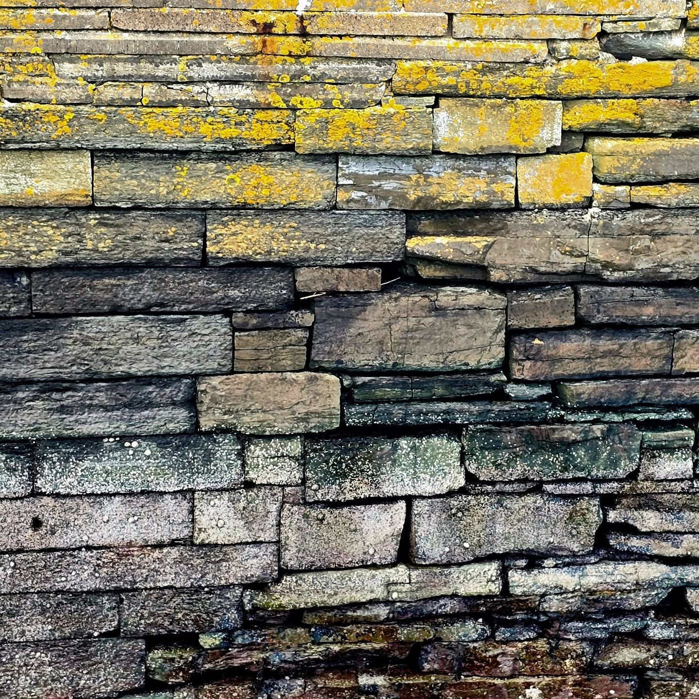 Harbour Wall, Castlehill
#texture #inspiration #colour #pattern #caithness