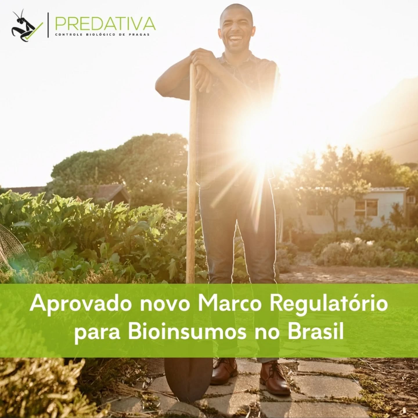 Este novo marco regulatório dos bioinsumos reforça o trabalho que a Predativa vem desenvolvendo com a implantação de biounidades on farm para produção de agentes macrobiológicos com foco no controle de pragas.
A tecnologia inovadora da Predativa segue todas as determinações legais a respeito da segurança alimentar, e garante qualidade do começo ao fim do processo produtivo.
Uma opção sustentável e econômica para o produtor rural!
Quer saber mais? Visite nosso site no link da bio.
#macrobiologicos #bioinsumos #sustentabilidade #agroecologia #predativa #produçaoonfarm