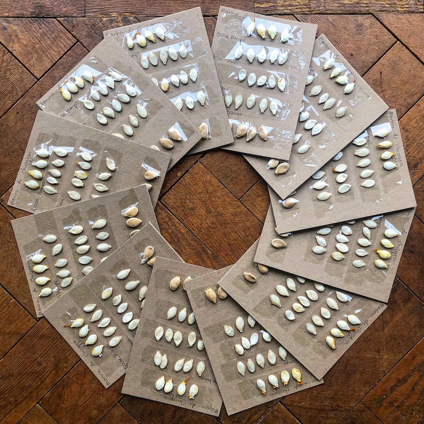 Pumpkin seeds are ready for tomorrow’s extended class. There is 1 space left if anyone would like it, send me a message to book.
.
#plymflowyoga #yoga #yogapractice #flowyoga #vinyasa #vinyasaflow #yogaclass #plymstock #plymouth #yealmpton #yealmptoncommunitycentre #brixtondevon #southhams #devon #pumpkinseeds