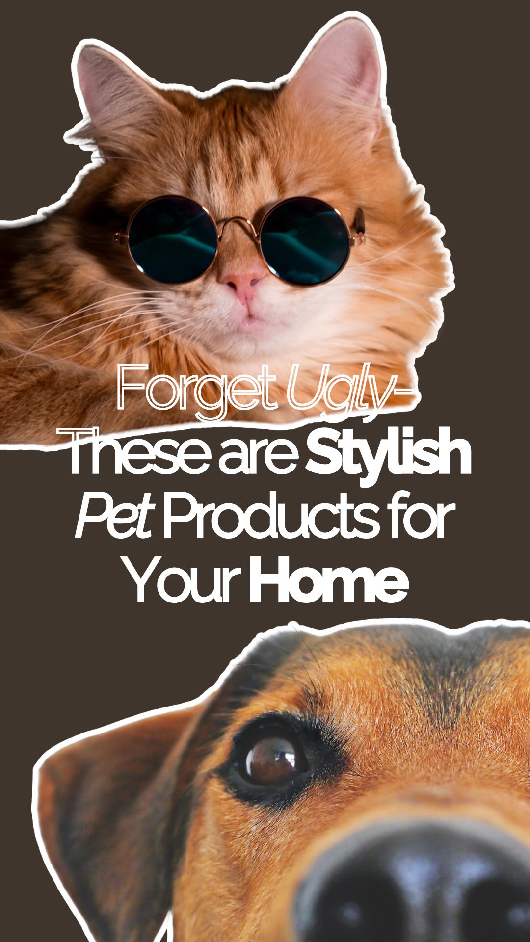 You’ve put in the effort to redesign your home—so why bring back those outdated, eyesore pet products? You know the ones: the clunky metal dog crate and that worn-out cat tree that clashes with everything.
Our pets deserve an upgrade too! That’s why my design assistants, Neeva and Stella, have helped me curate a short list of chic, functional pet products that seamlessly blend into your home’s aesthetic:
1- PupRug by Paw.com – This orthopedic dog bed is designed for ultimate comfort while seamlessly blending into modern, luxurious interiors.
2- Crate by Fable – A beautifully designed dog crate that doubles as a side table, providing a cozy den-like space with ample airflow and light.
3- Felt Cave by Mau – A soft wool felt hideaway that offers your cat a comfy and secure spot to lounge.
4- Inira Memory Foam Bed – A pet sofa that combines style and comfort, making it the perfect elegant addition to your space.
5- Bear Bed by Design Dua – An HGTV Best New Product award winner, this handcrafted pet bed uses traditional Ghanaian craft techniques for a unique and stylish design.
6- Elevated Feeder by Hiddin – A sleek, raised acrylic feeder that provides an ergonomic eating position while maintaining a modern aesthetic.
7- Floral Cat Tree by KBSPets – A beautifully crafted floral-inspired cat tree that’s more art than pet furniture.
8- Sito Litter Box by MiaCara – A discreet, modern litter box that blends seamlessly into your decor while offering additional functionality.
9- Alto Wall Climber by MiaCara – A Scandinavian-style cat wall climber designed for endless play, rest, and sleep.
Say goodbye to pet products that clash with your design—these stylish finds prove that pet essentials can be both beautiful and practical. Which one is your favorite?
Comment 🐶 for the list of links!
#PetFriendlyDesign #StylishPetProducts #InteriorDesign #VirtualInteriorDesigner
