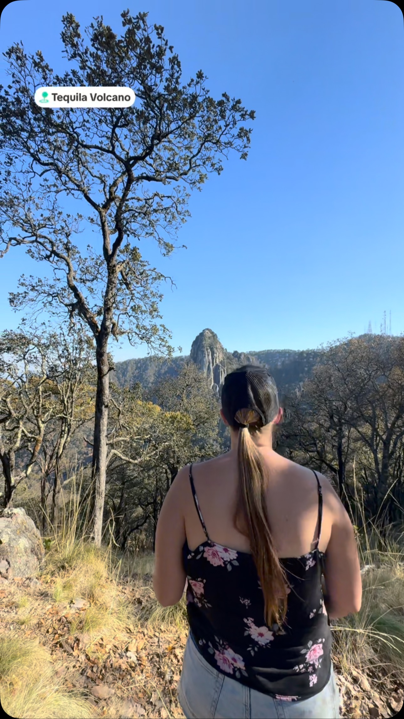 Y’a un an on est monté dans le mauvais chemin pour le volcan de Tequila, résultat on s’est retrouvé dans le secteur des antennes, alors qu’on devait être sur le sommet totalement opposé! 🤣
J’étais tellement découragé parce qu’on n’avait presque plus d’eau, mais rendu là, on ne pouvait pas ne pas se rendre sur le bon sommet! 🤭
#hike #tequilajalisco #volcandetequila #montagne #souvenirs #ayearago