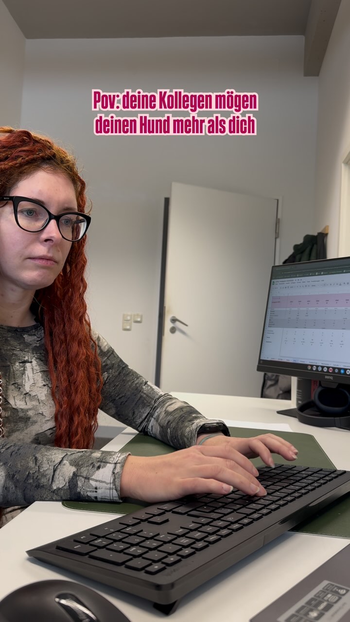 Nimm’s nicht persönlich🫠🥹 #ovgugmbh #ovgu #magdeburg #officedog #friends