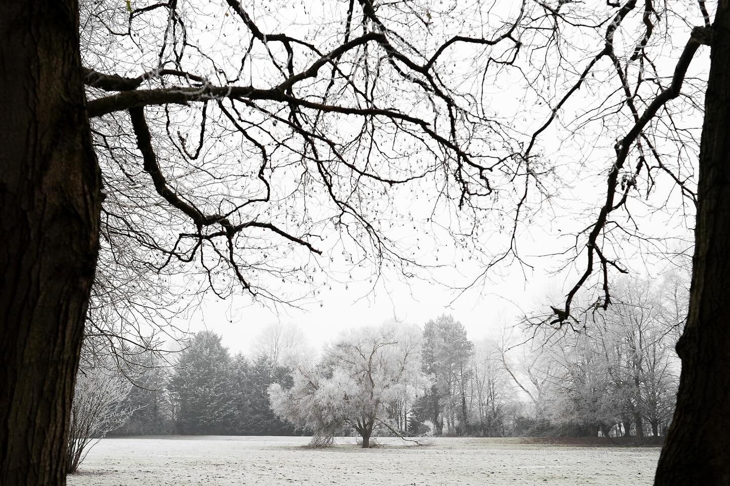 Patiently waiting for spring at the meadow
📸 @kieranhuntphotography