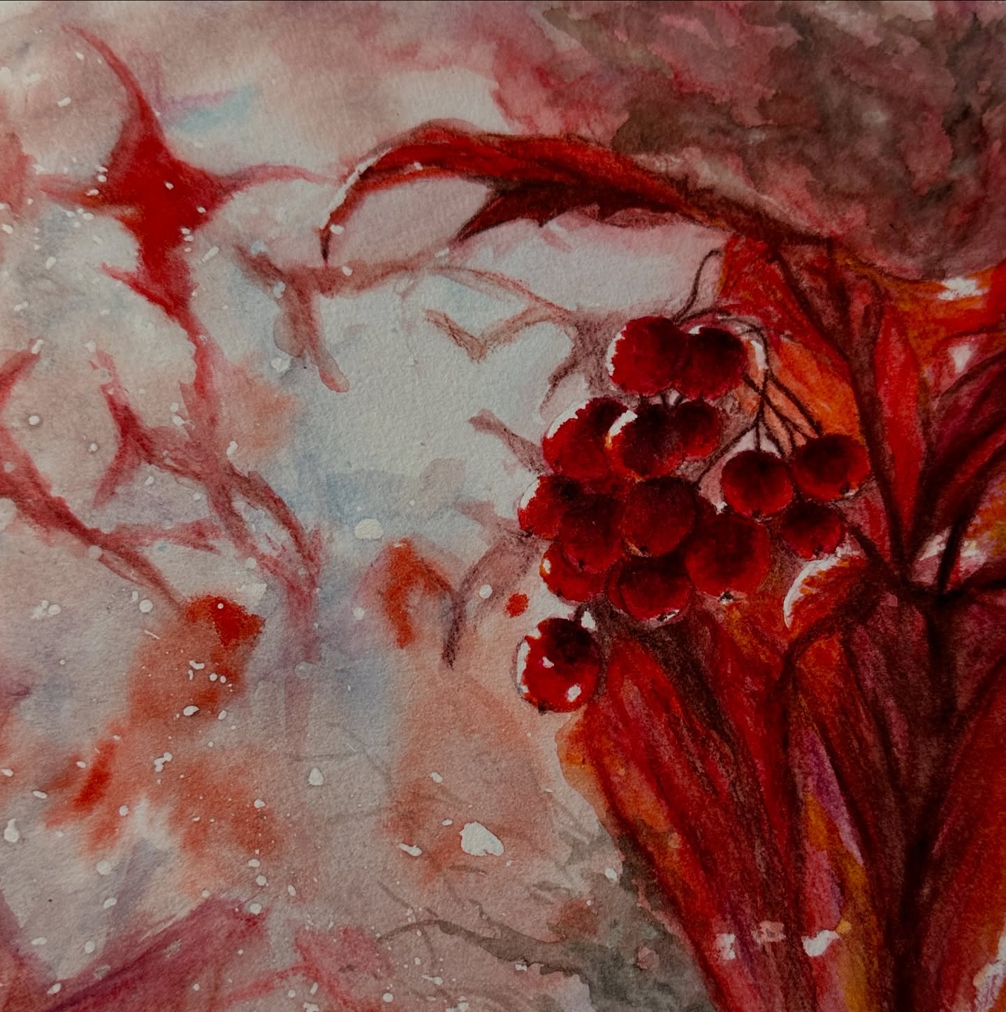 winterberries with #watercolorpencils