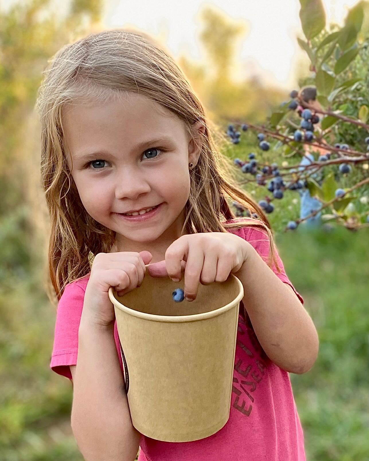 More snaps from our amazing Session Seven! #campmakemake
#campingchile