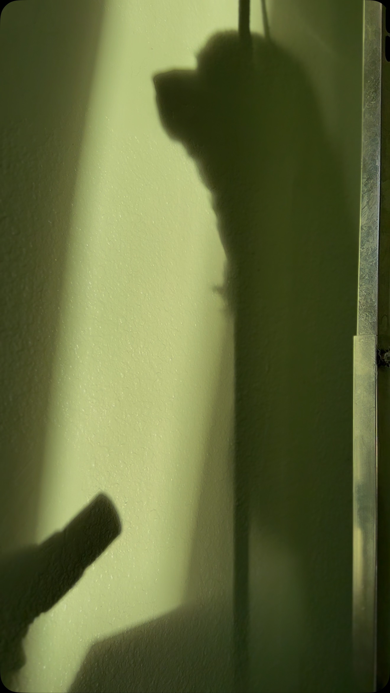 Finding Peace in Grooming 🕊️
Grooming isn’t just about looks—it’s about comfort, connection, and care. And in those little moments, we find something truly beautiful. ✨🐾
#DogGrooming #PeaceInTheProcess #MaloryGrooms