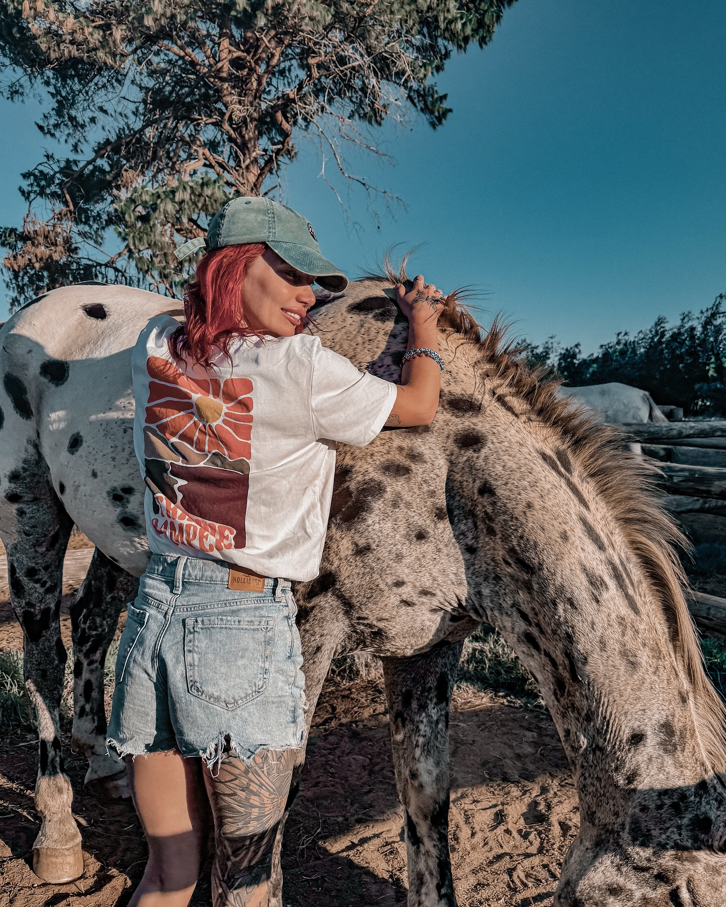 living the trippie life 🌾 repping the trippiecampers merch with the horses here in south africa 🐎
.
.
.
#vanlife #campervan #vanlifediaries #homeiswhereyouparkit #vanlifestyle #vanlifers #vanconversion #vanlifemovement #homeonwheels #vanlifeexplorers #vanlifegermany #camperlife #vanlifeeurope #camper #horse #horses
#horsebackriding #equine #equestrian #horsemanship #horseofinstagram #horselovers #horselife
#pferd #caballo #horsestagram #horsephotography
#foal #stallion #mare