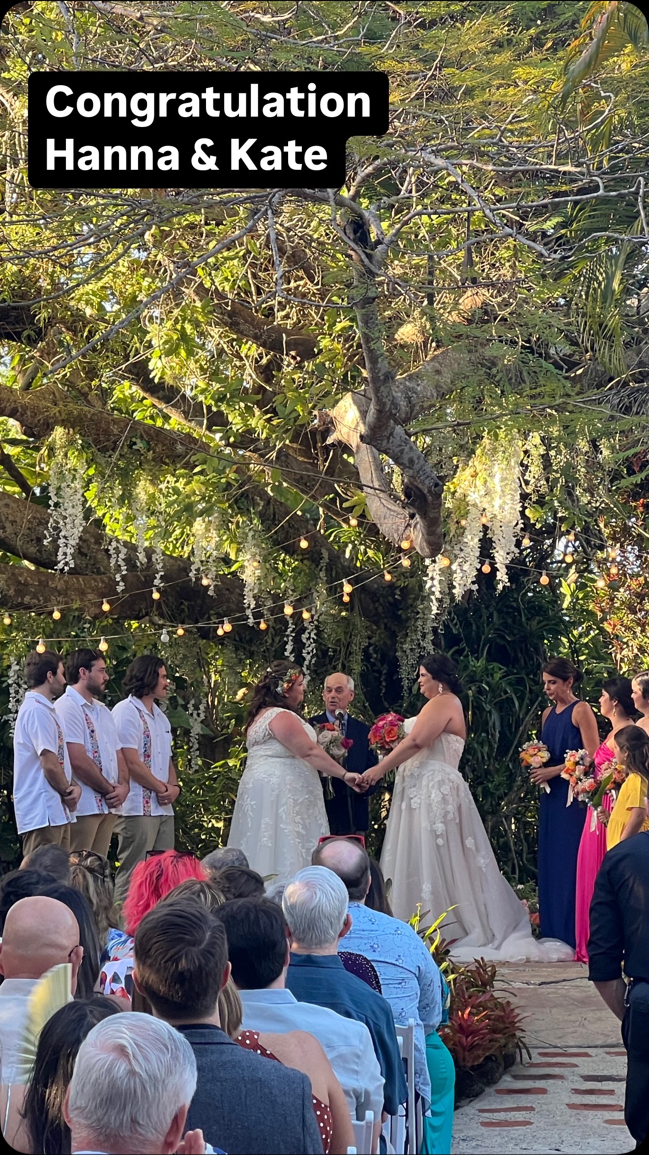 What a Wedding this past Sunday (2/16) to kick off my wedding season of 2025.
Congratulations to Hanna & Kate
Thank you for having me and sharing such a special moment with your family and friends.
Venue: @losjardinesdelcastillo
Wedding Planner: @cristinasotoweddingplanner
#Wedding #WeddingDJ #DestinationWedding #DJ #DJRevuleo #PuertoRico #DTMF