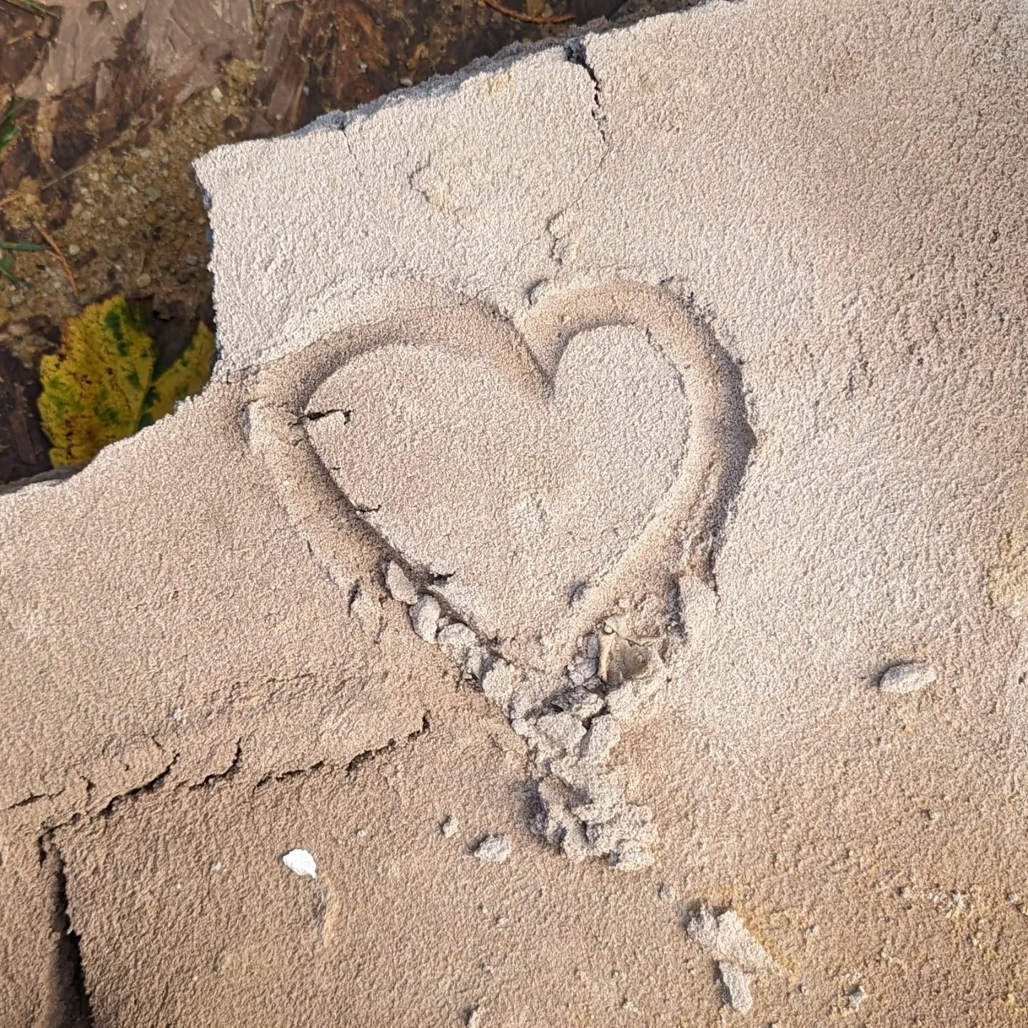 However you're marking today (or not!) we hope you celebrate it by doing the things you love. We'll be out on site! ๐๐ณ๐ทโโ๏ธ๐ท๐ก
Photo shows a heart carved in waste mortar Charlie genuinely found on a discard pile on site ๐คฃ clearly our landscapers love what they do! #spreadlove