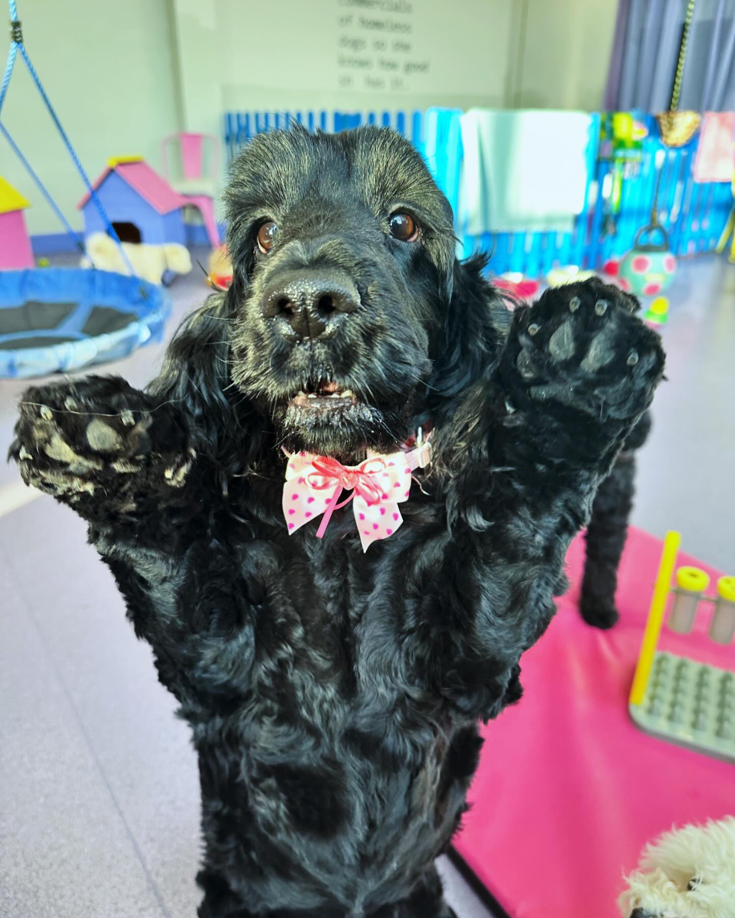 🎀🩷 @minozidaru