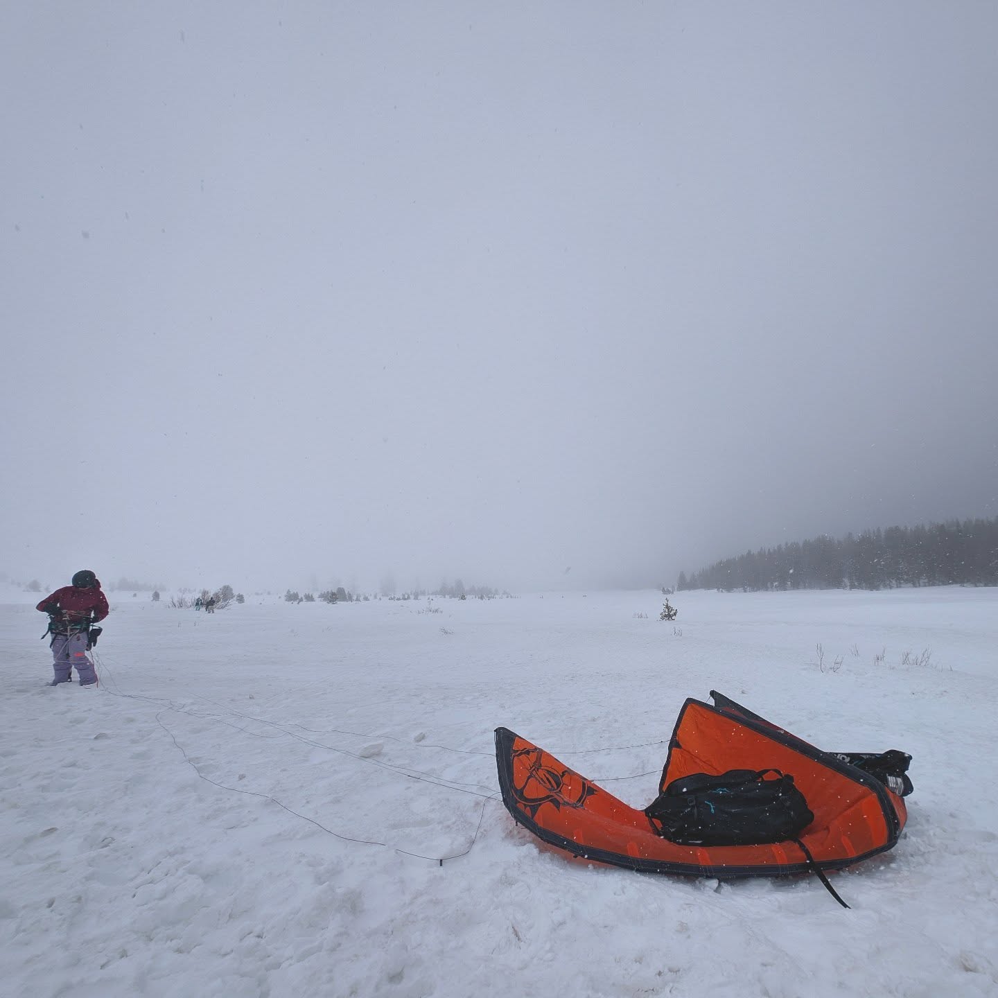Windy blizzard can be fun with a #kite to send it. #kiteboarding #snowkite in @tahoemeadows