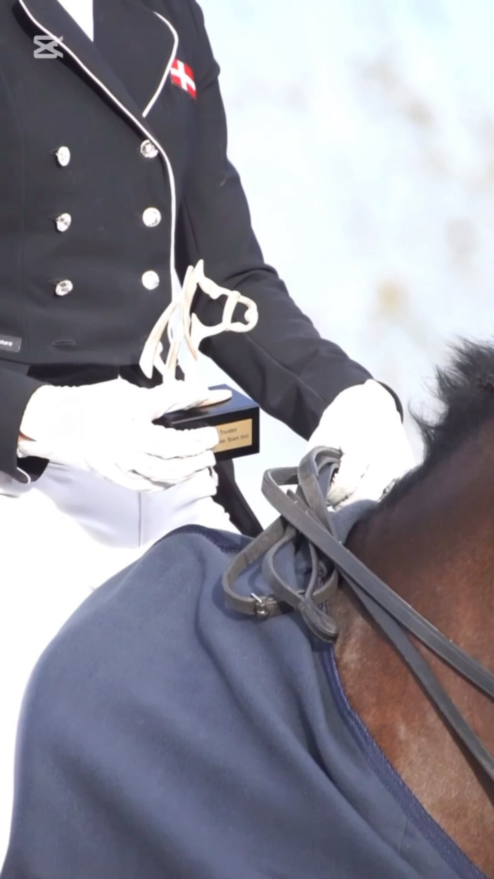 CDI Sint-Truiden 2025⭐️
🗓️16 - 20 april
🏆🥇 Are you next winner ?
🥳 nice atmosphere
🥂🍷🍟 lovely food & drinks
🫶🏻 See you soon