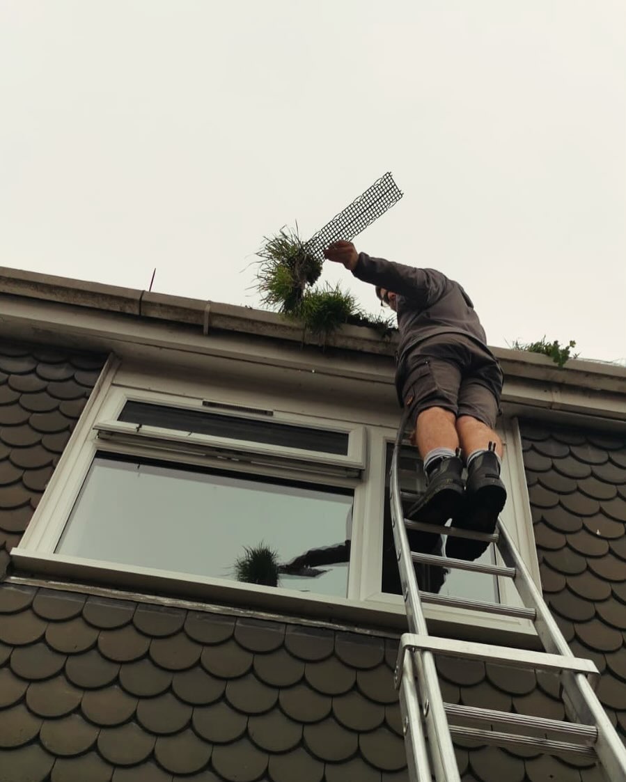 Are you gutters growing plants? Left to grow….water blockage and water damage to your roofline. Call in the experts! #gutters #guttercleaning #gutterservices #clean #propertymaintenance