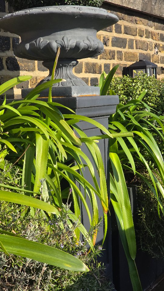 🌿✨ Transform Your Terrace This Spring! ✨🌿
Spring is just around the corner, and there’s no better time to refresh your green oasis! 🌸🌱 A well-maintained plant-covered terrace not only enhances your space but also creates a fresh, relaxing atmosphere. 🌿💚
At Chelsea Landscape Gardener,, we ensure your plants thrive with expert care, regular maintenance, and seasonal planting. Let’s get your terrace blooming just in time for spring! 🌼🌞
📍 Book your garden refresh today! 🌿✨
📩 DM us for a consultation!
.
.
.
.
.
.
.
.
#SpringReady #GreenTerrace #GardenCare #chelsea #london #gardenmaintenance #claphamcommon #southkensington #landscape #fulham #uk #gardens #gardenmaintenance #putney #victoria #pimlico