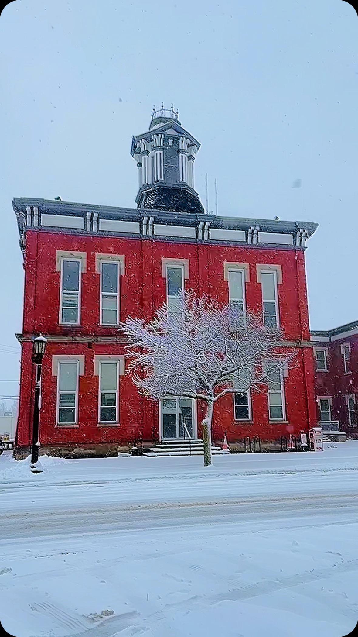 Only 30 days until Spring 🌷