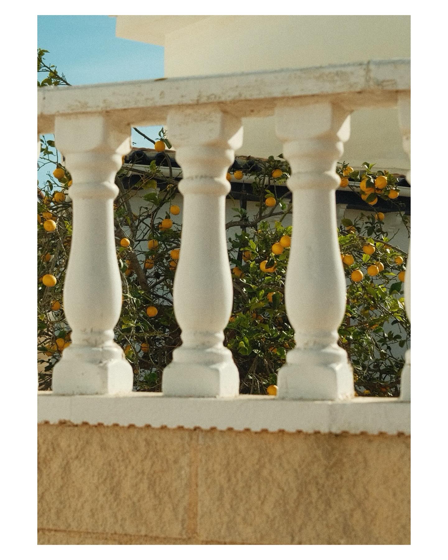 spanish vibes 🍊🌴🌊