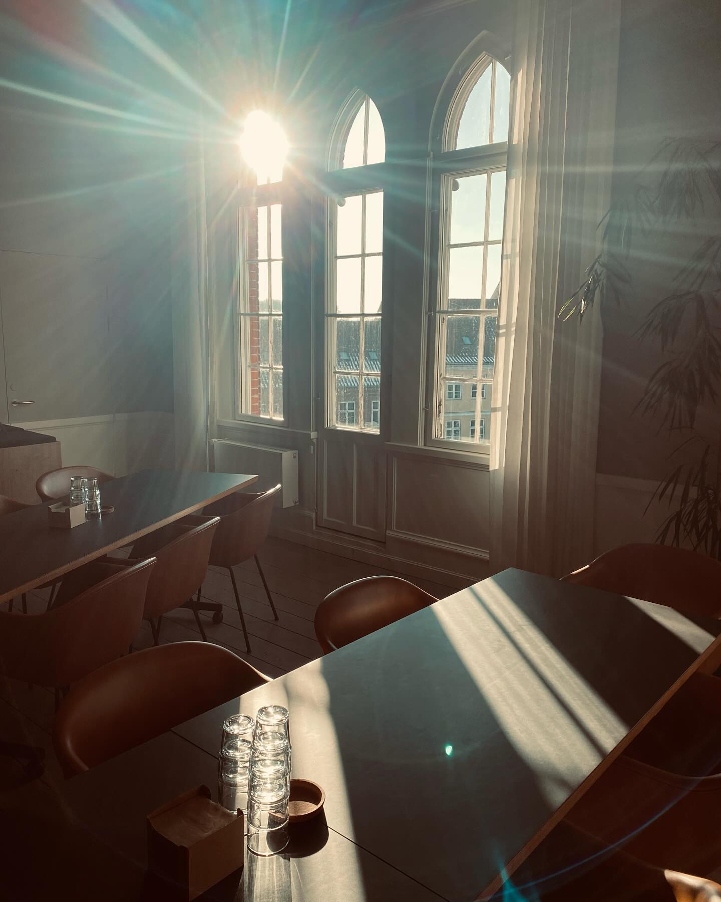 Den smukke gamle Tinghussal gøres klar til gæster i morgen - og kvitterer med det smukkeste lys 💫