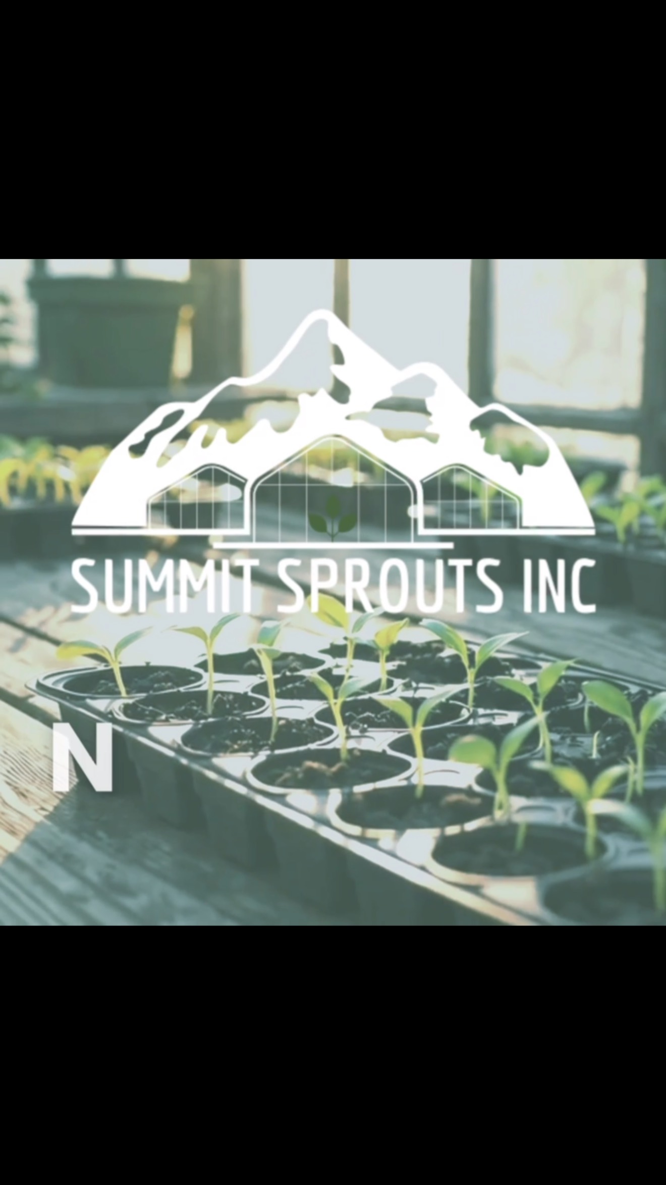 We’re hiring! Want to join the Summit Sprouts family? 🌱 We’re looking for passionate and enthusiastic individuals to join our team. If you’re a hard worker with a love for tending to plants and flowers, we want to hear from you! Fill out our application on our website located in our bio!
#SummitSprouts #NowHiring #Plants #localbusiness #haydenidaho