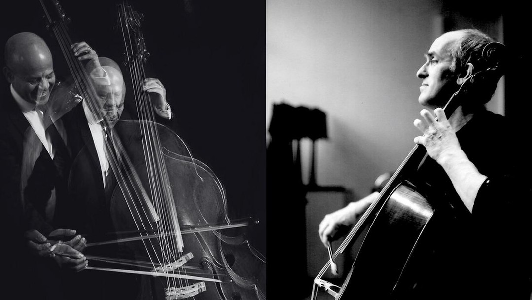 ๐ผ A Rare Musical Journey: The Hanover Band with Sebastian Comberti & Geoff Coatesn
โฑ๏ธSun, 23 Feb, 6 pm
๐Kings Place London
Link in Bio for tickets.
#chambermusic #londonlivemusic #cellomusic #classicalmusic
