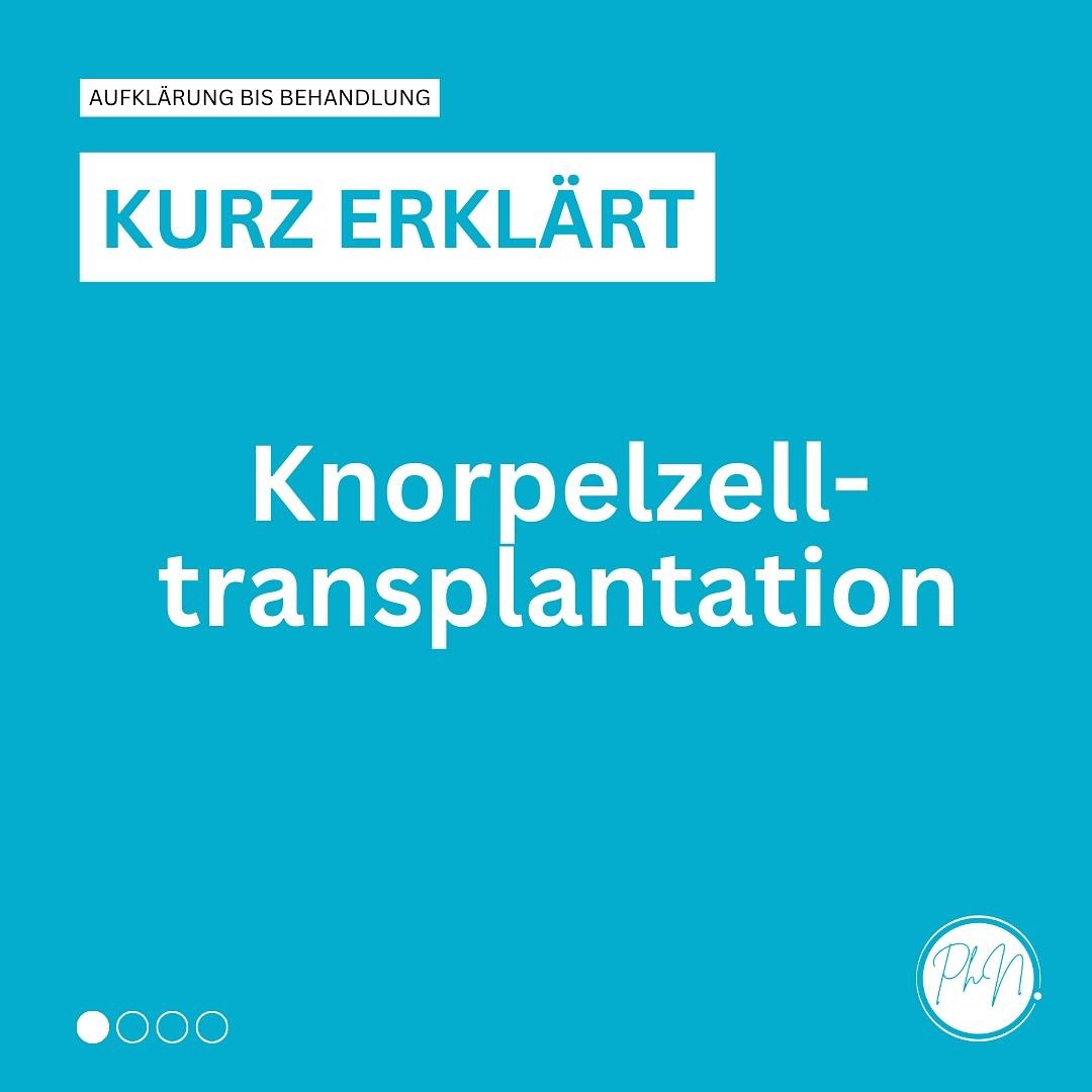 Kurz erklärt: Autologe Knorpelzelltransplantation (ACT) ##knie #knieverletzung #knieschmerzen #arthroskopie #kreuzband #knieexperte #gelenke #operation #orthopaedie #knieoperation #profniemeyer #reha #rehabilitation #physio #arthrose #gonarthrose #meniskus #meniskusriss