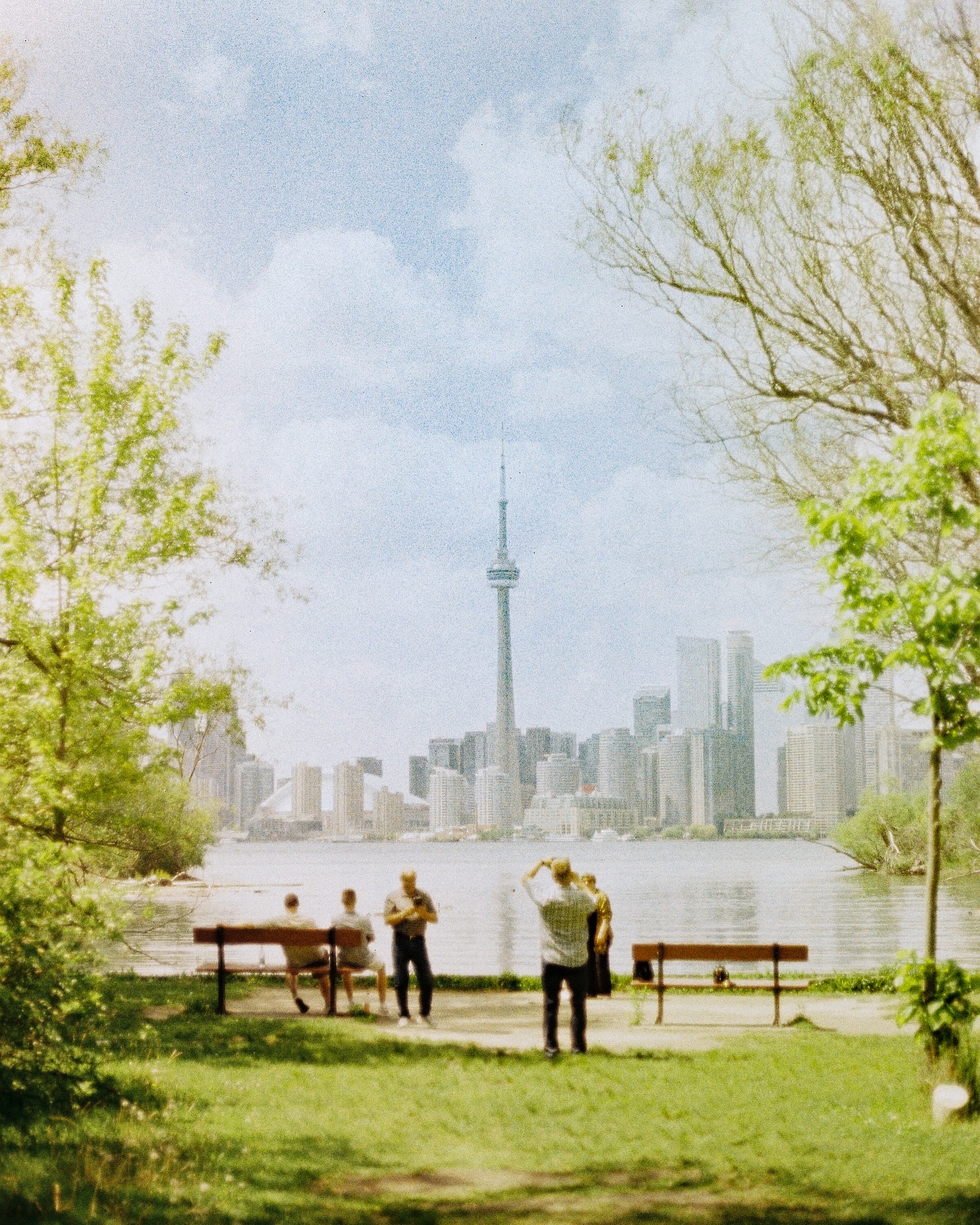 Toronto island
#toronto #torontoisland #canada #film #canonae1