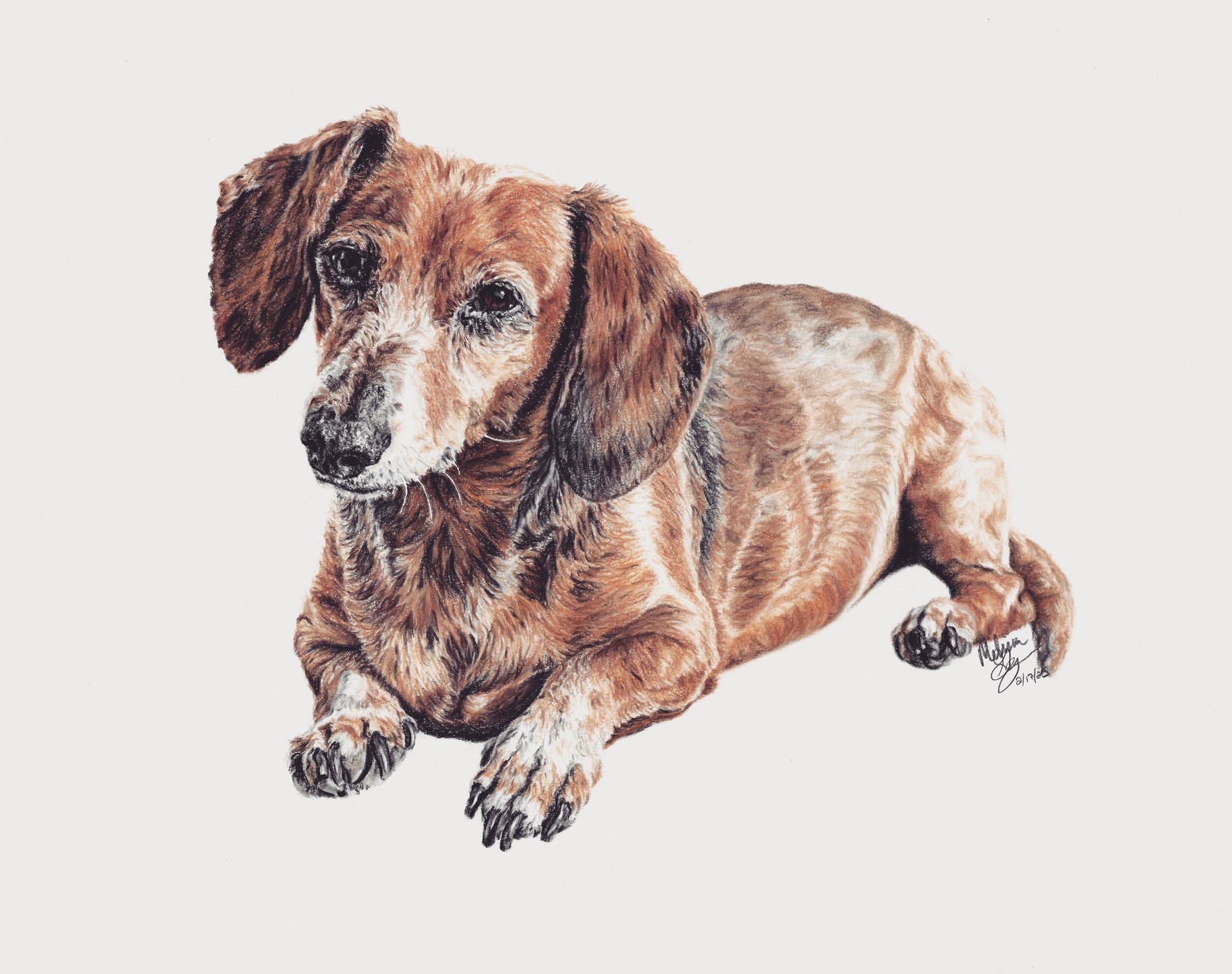 This drawing of sweet Marty is on it's way to his parents!
#artist #drawing #petportrait #dog