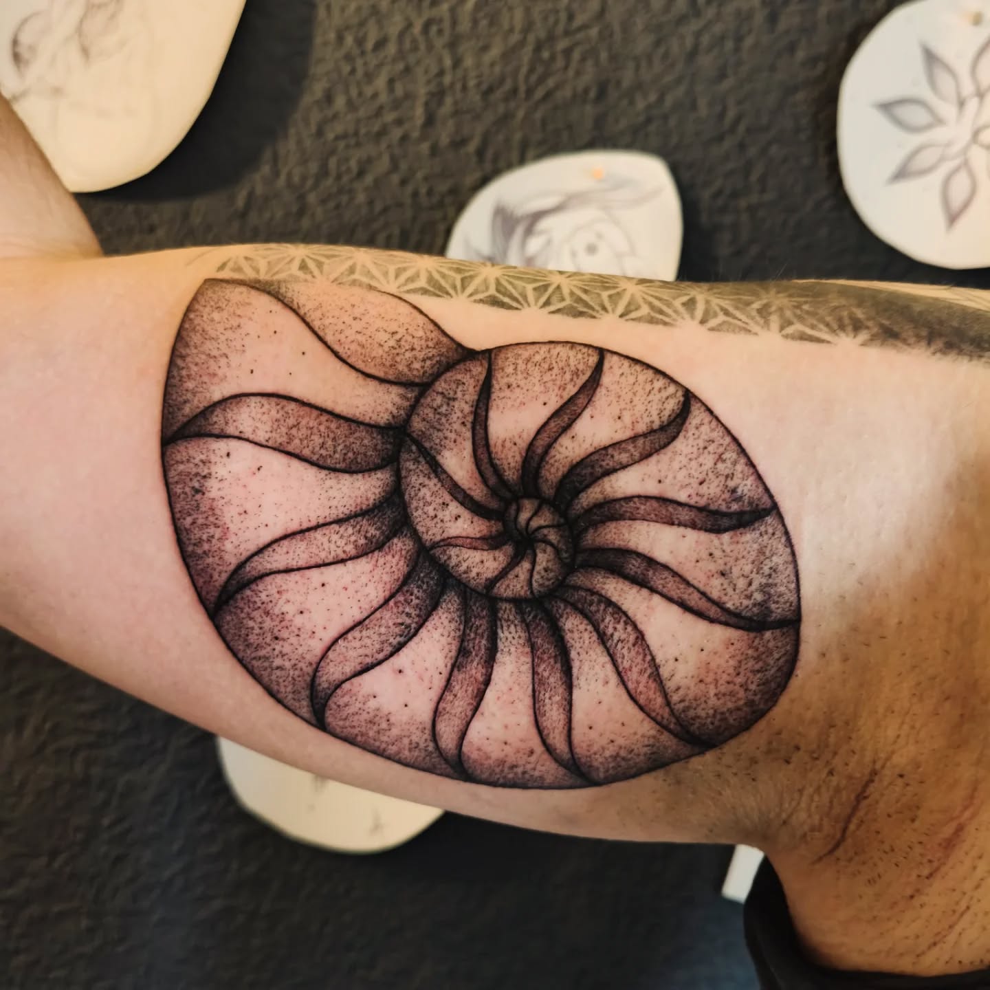 Fineline Tattoo for an amazing shining soul ✨💖✨
#finelinetattoo #dotworktattoo #naturetattoo #tattoobern #tattoostudiobern