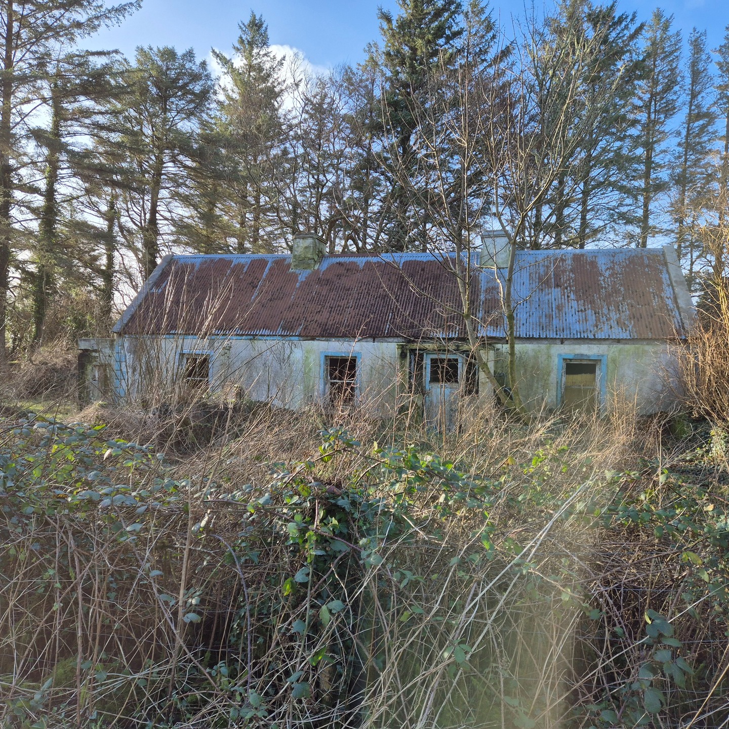 It'd be easy to just demolish this old house and start again, but it has important personal history for our client so we're going to bring it back to life. Let's see what we can do!
Head over to our website www.allanarc.com to see more projects like this.
#restoration #architecture #renovation #riai
#wildatlanticway #conservation
#layersofhistory
