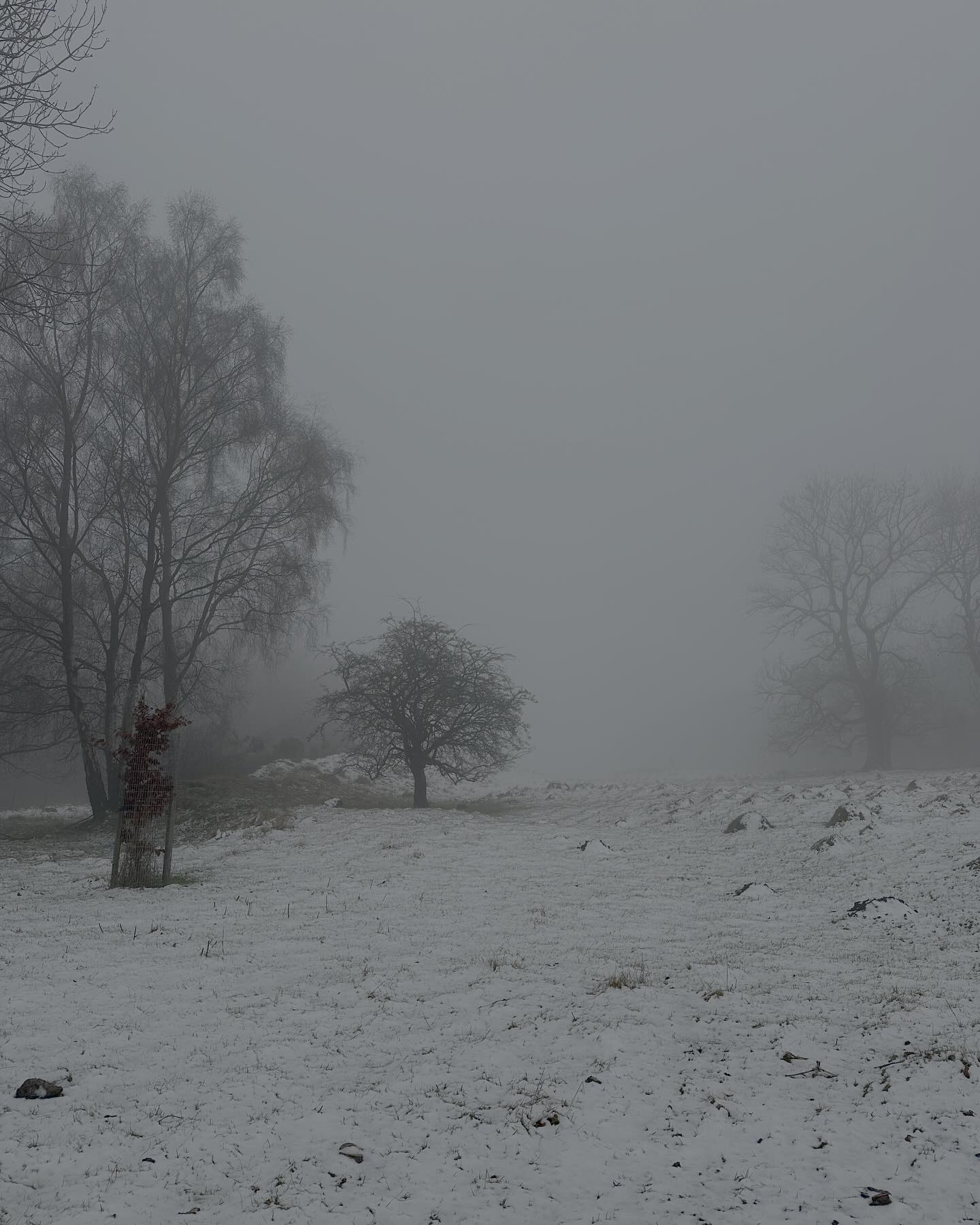 The DofE season has started!
Fantastic cold and snowy training walk in the Cotswolds with some students preparing for their Silver Award. We had a great day, improving navigation skills in between snowball fights.