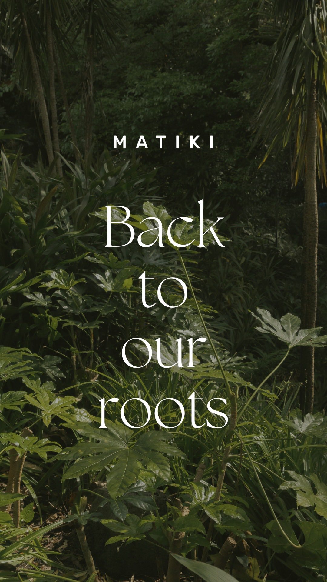 PART 2: Going back to where it all started, the stories, the traditions, the remedies that stood the test of time. In Chile, Matico wasnât just a plant; it was a way of life. Passed down through generations, shared between neighbours, trusted to heal đ
And now, for the first time on Australian soil, weâve bottled that wisdom, bringing you the hydration and collagen-boosting power of Matico in every drop â¨
Some things change, but the best remedies stay the same.