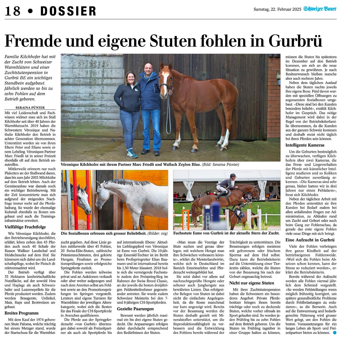 Danke @schweizerbaueronline für den Bericht 📰
#stallkilchhofer #schweizerbauer #pferdezucht #zeitungsartikel @nichtbauerfriedli @eb_sporthorses