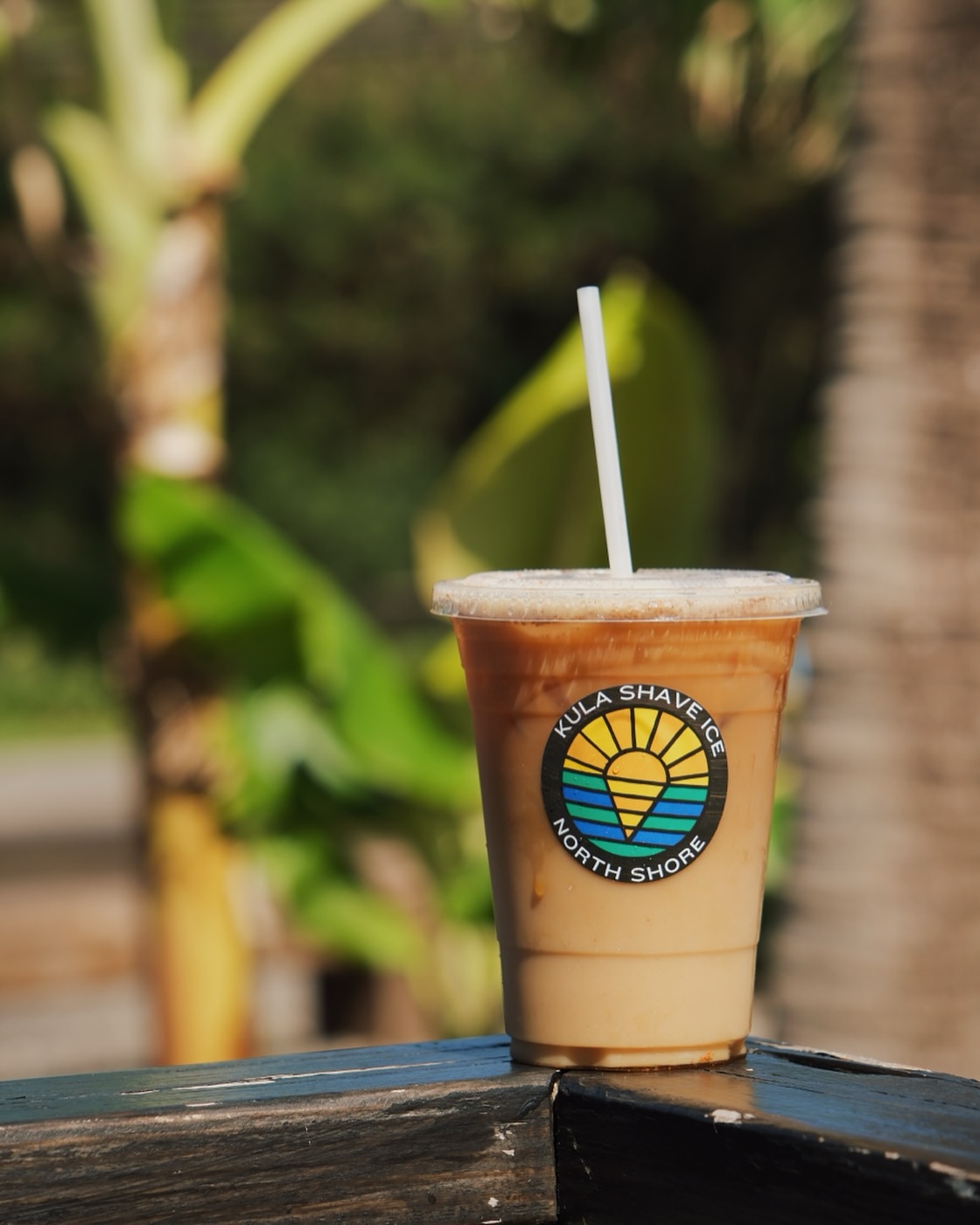 Our drinks are all made with organic ingredients. Our Maple Cinnamon Latte is the perfect pick me up to get you through the day🍁
#kulashaveice #kulashaveicens #oahuhi #northshorecoffee #maple #cinnamon #maplecinnamonlatte #coffee #oahu #kuilimafarm #organic #organiccoffee #coldbrew