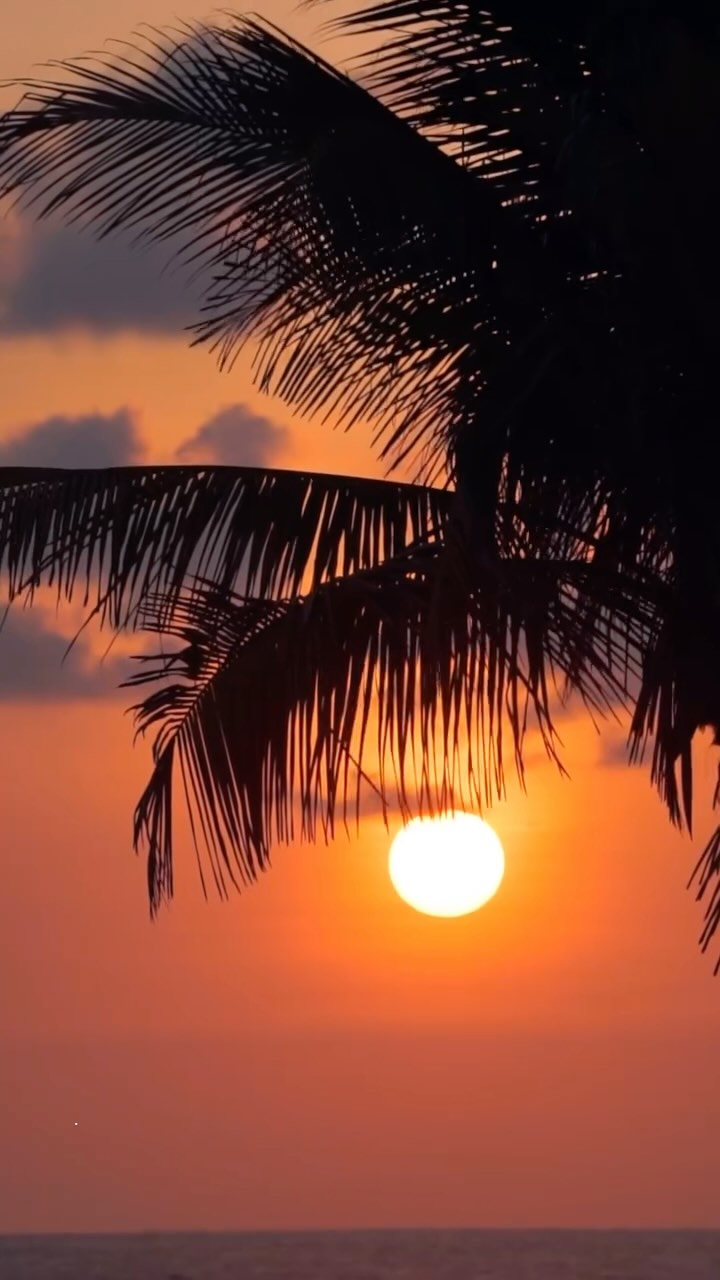 Forever in love with this country 😍🌴🇨🇷