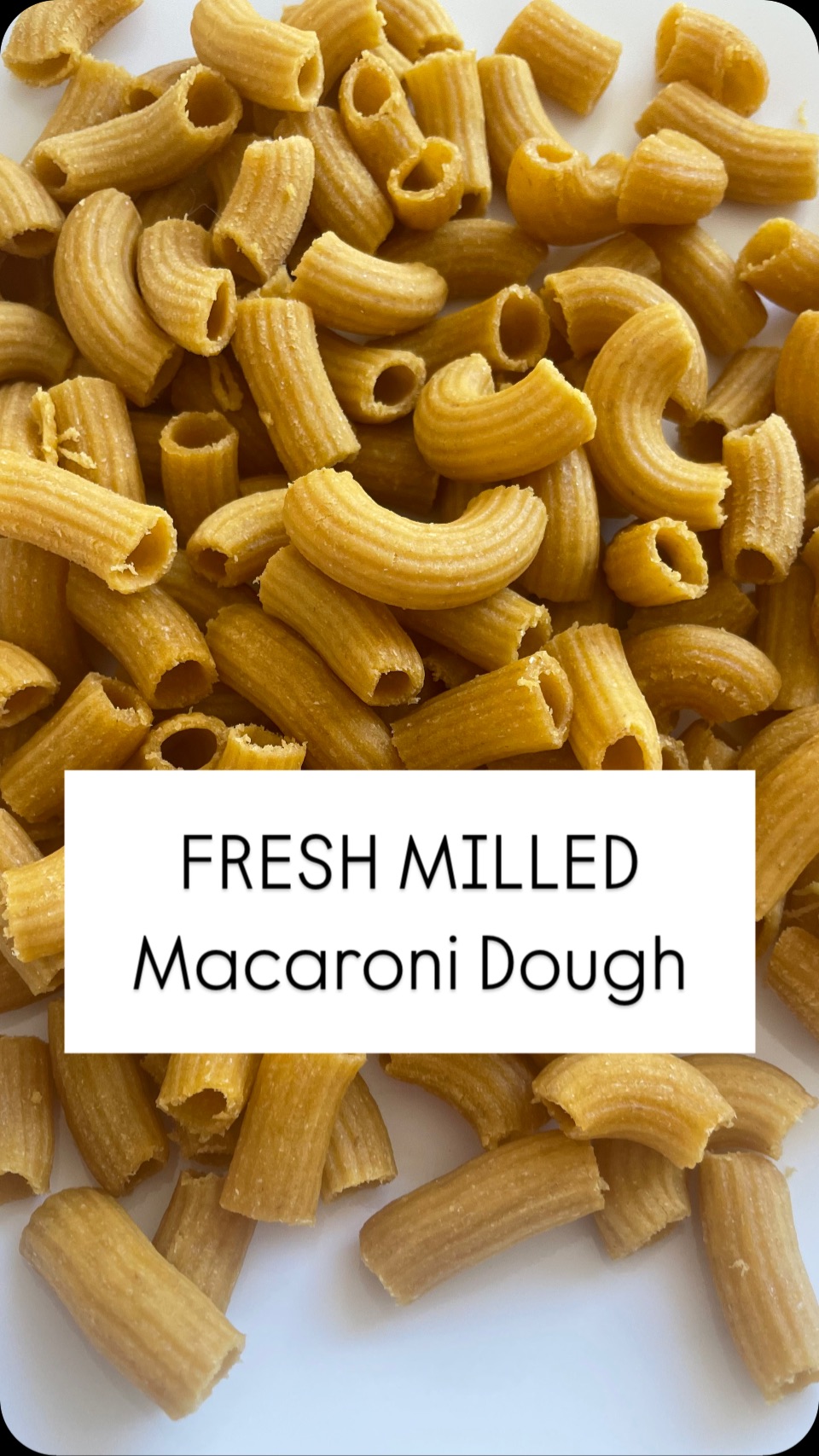 Making macaroni is not as hard as you would think. Just a few ingredients and you’ve got a dough that is ready for the kids to turn into macaroni! Super fun project for kids!!!
#freshmilled #foodprocessing #nutrientdense #freshmilledflour #macaroni #freshmilledmacaroni